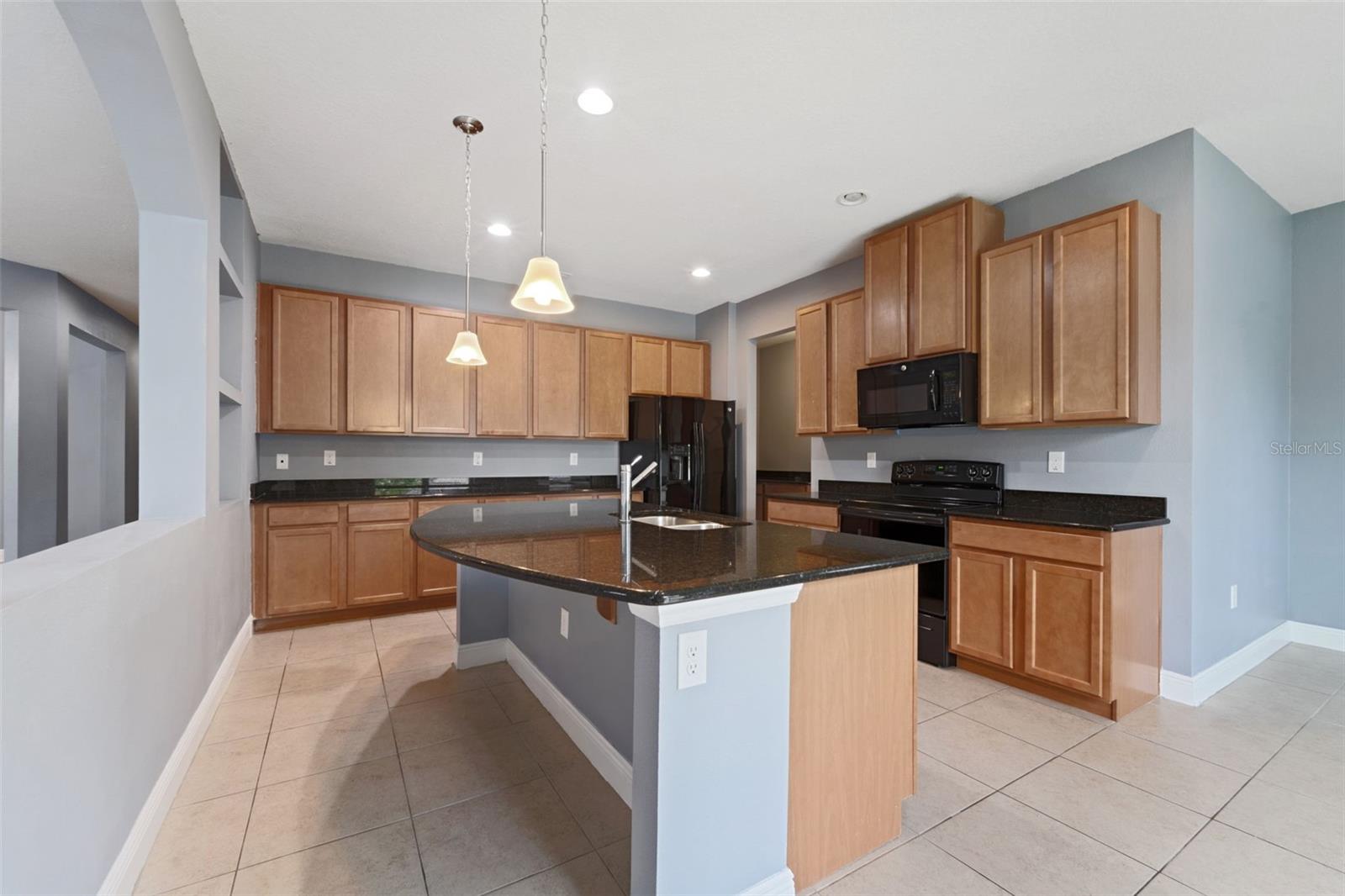 11006 TAHITI ISLE LN — photo 11