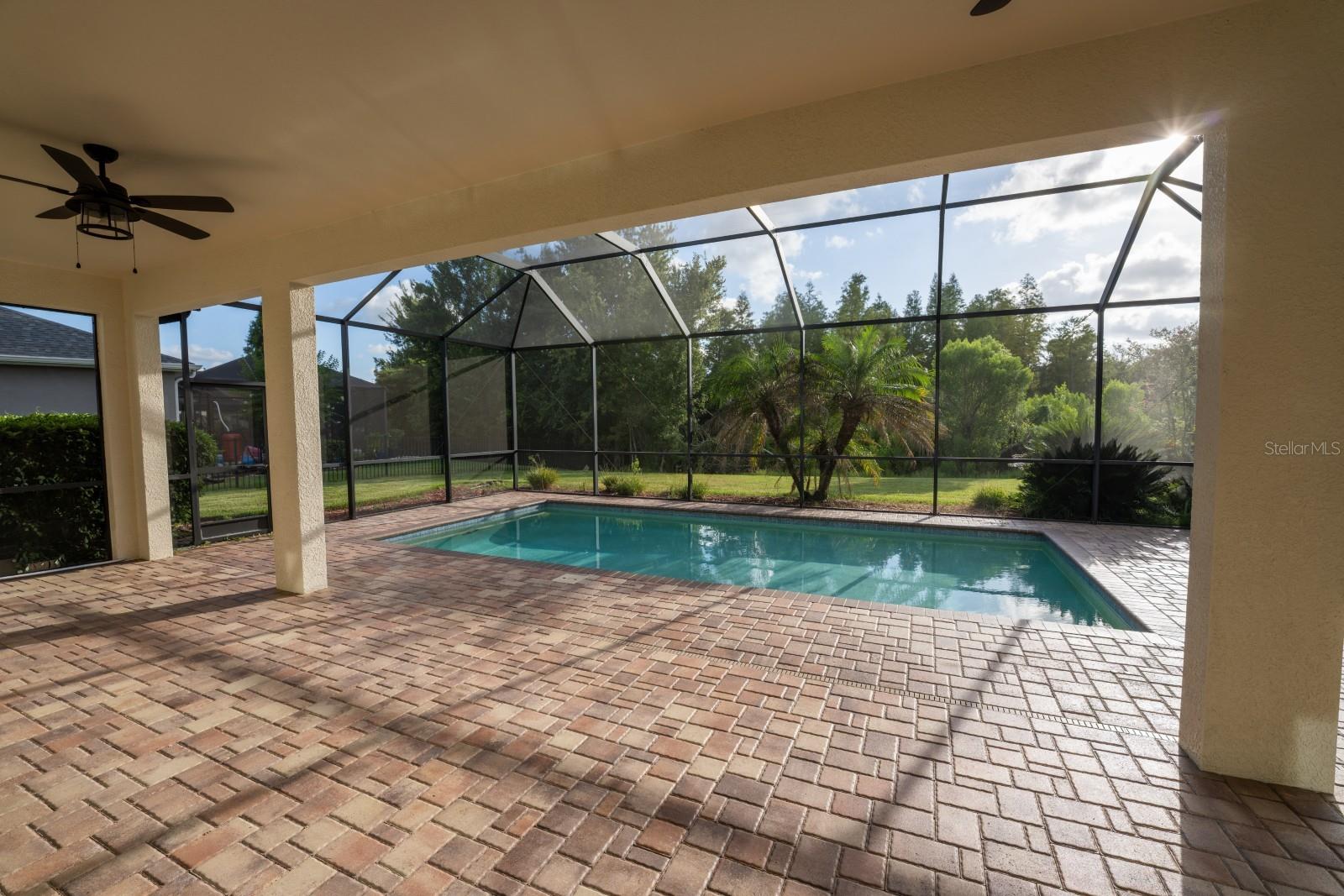 8355 SWISS CHARD CIR — photo 12
