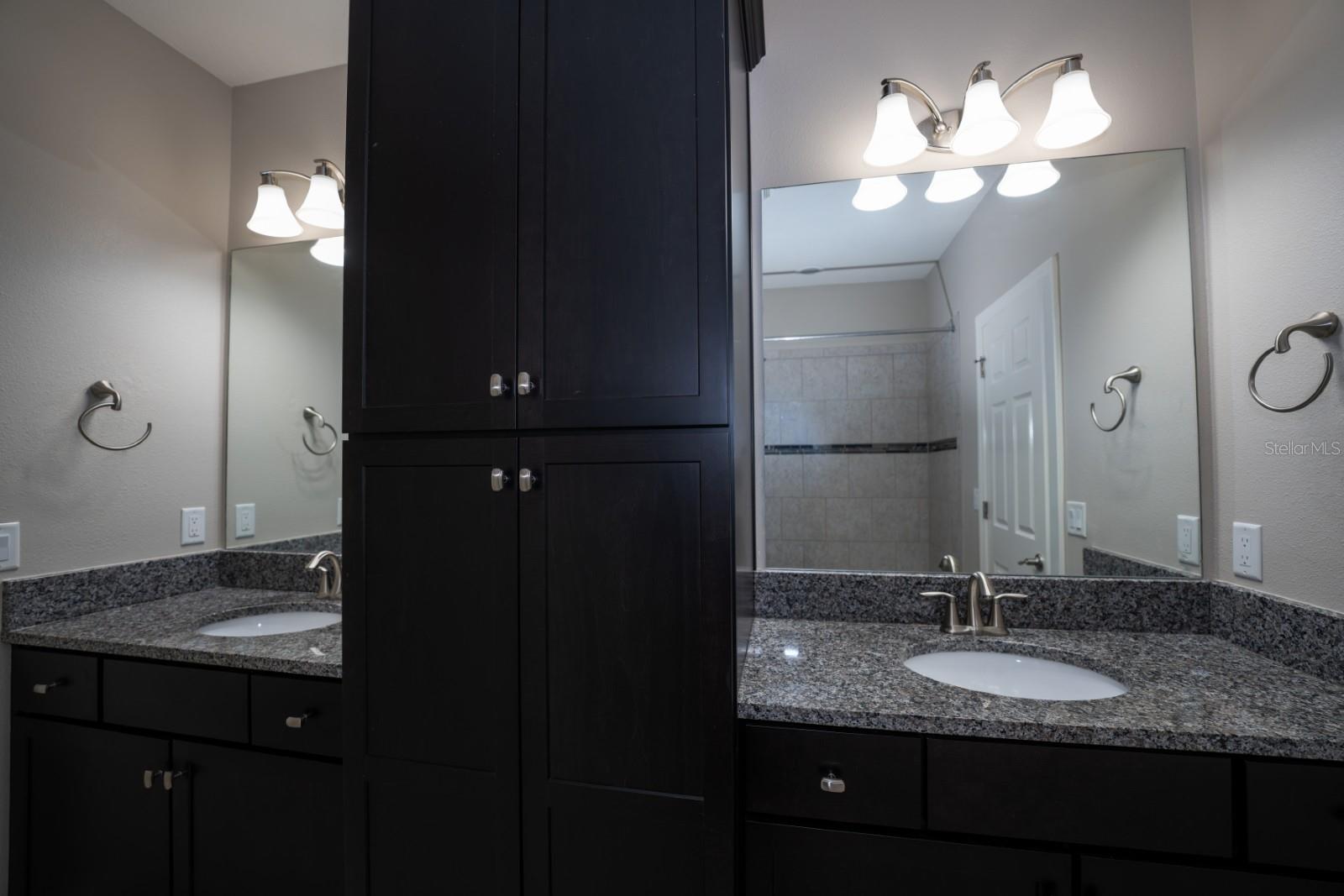 8355 SWISS CHARD CIR — photo 31