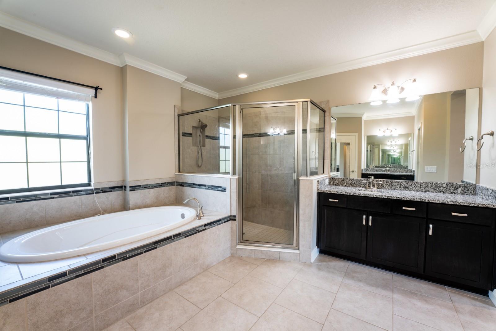 8355 SWISS CHARD CIR — photo 24