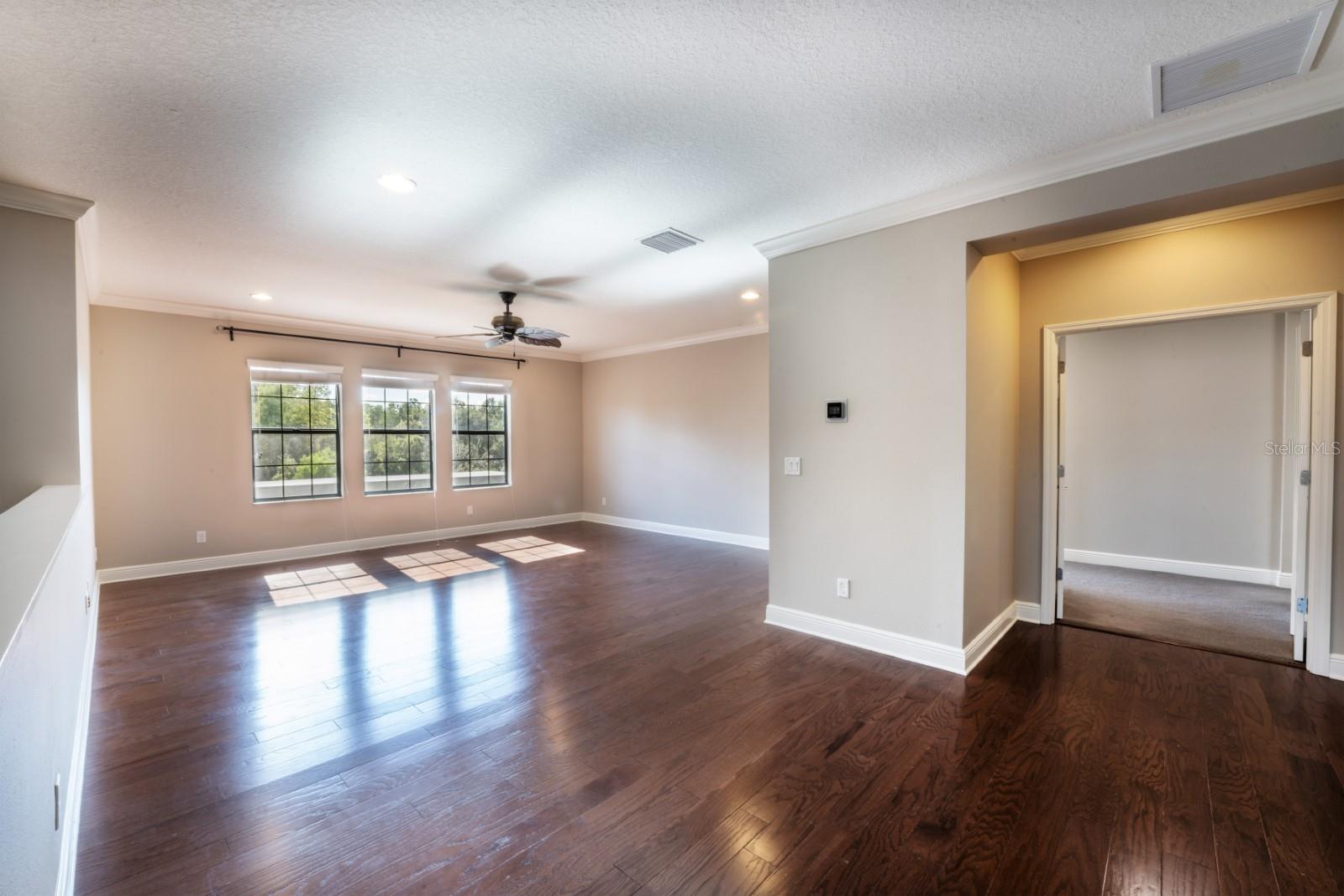 8355 SWISS CHARD CIR — photo 17