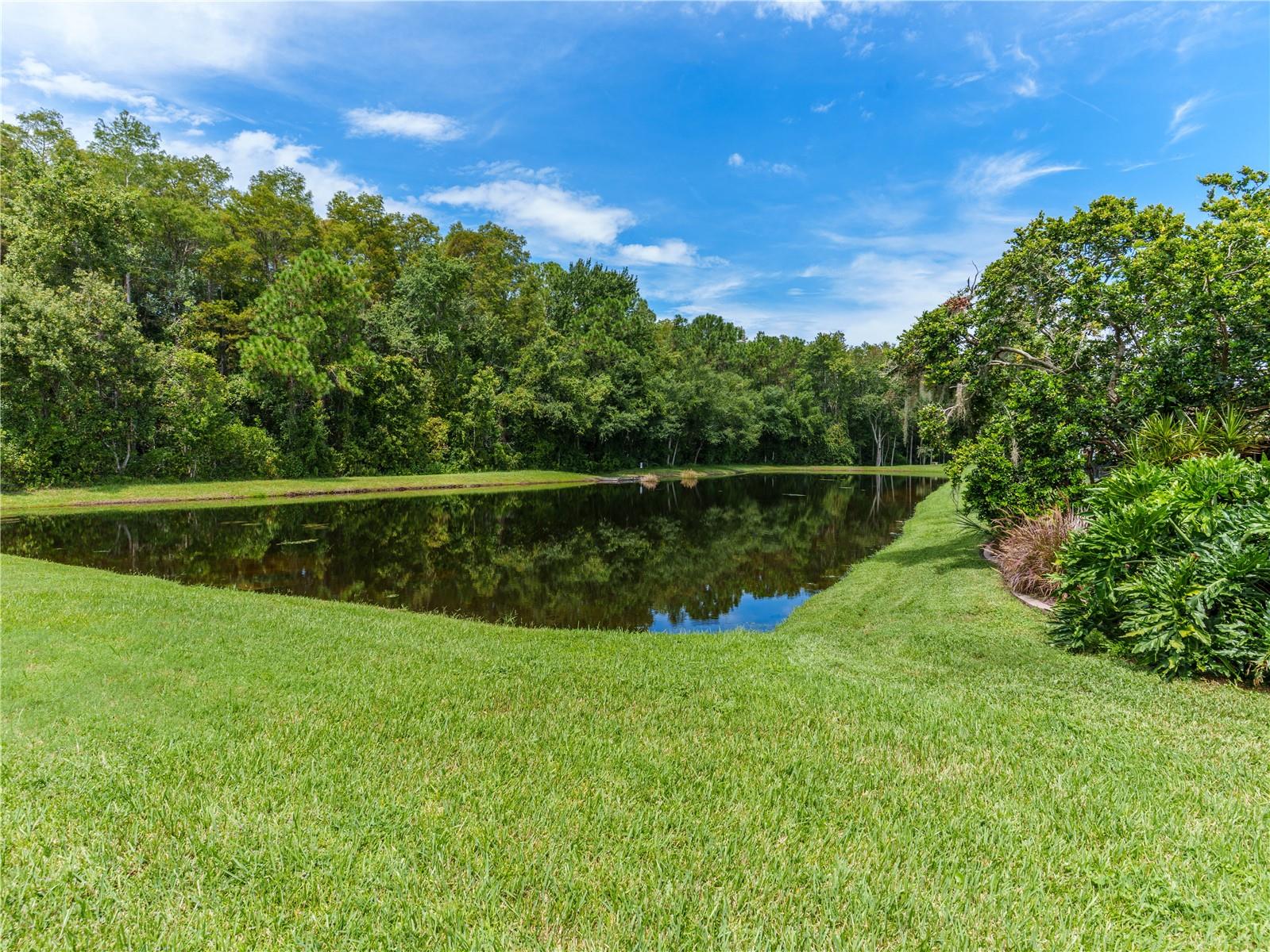 7709 TIMBERWYCK CT — photo 42