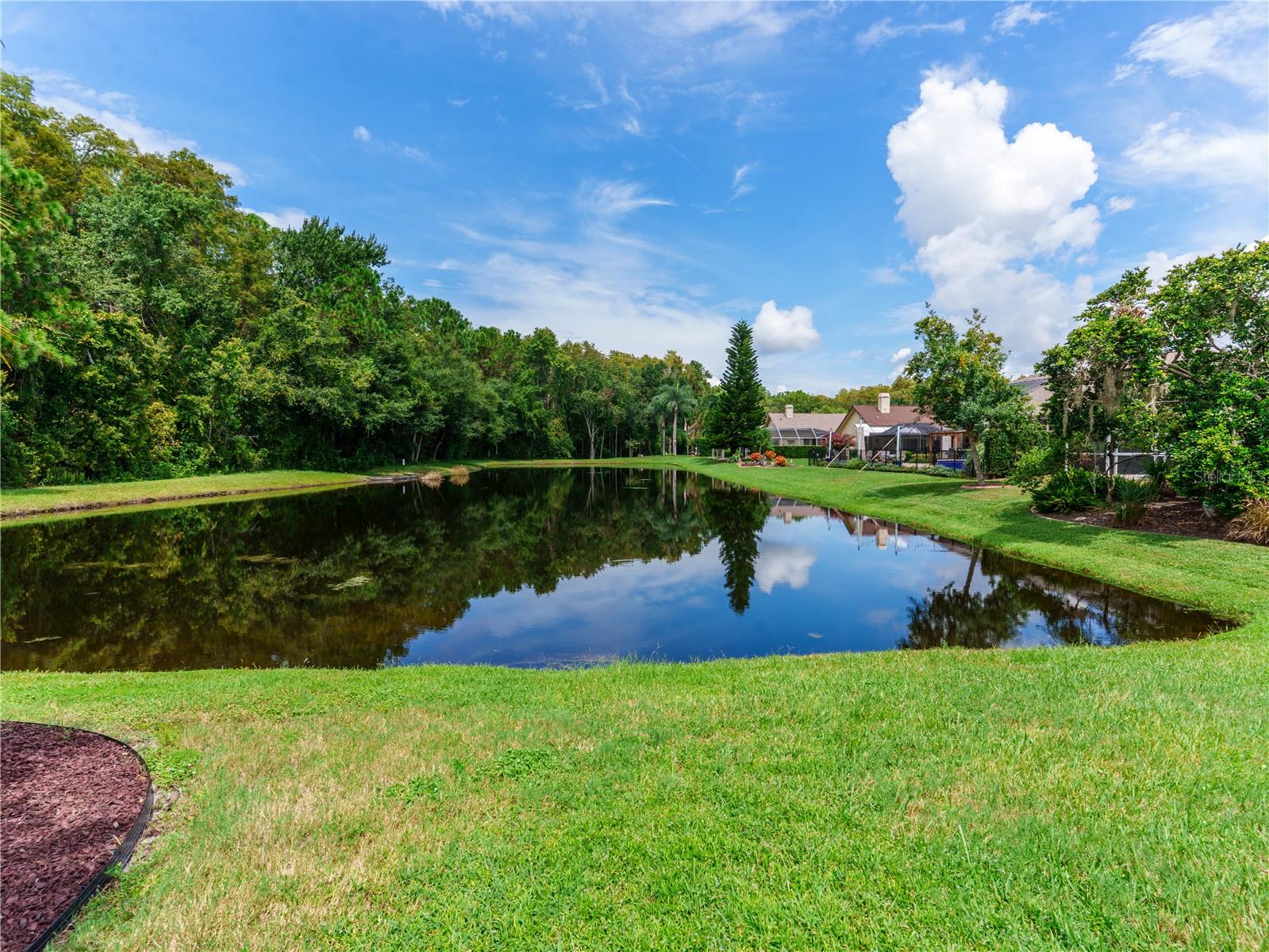 7709 TIMBERWYCK CT — photo 43