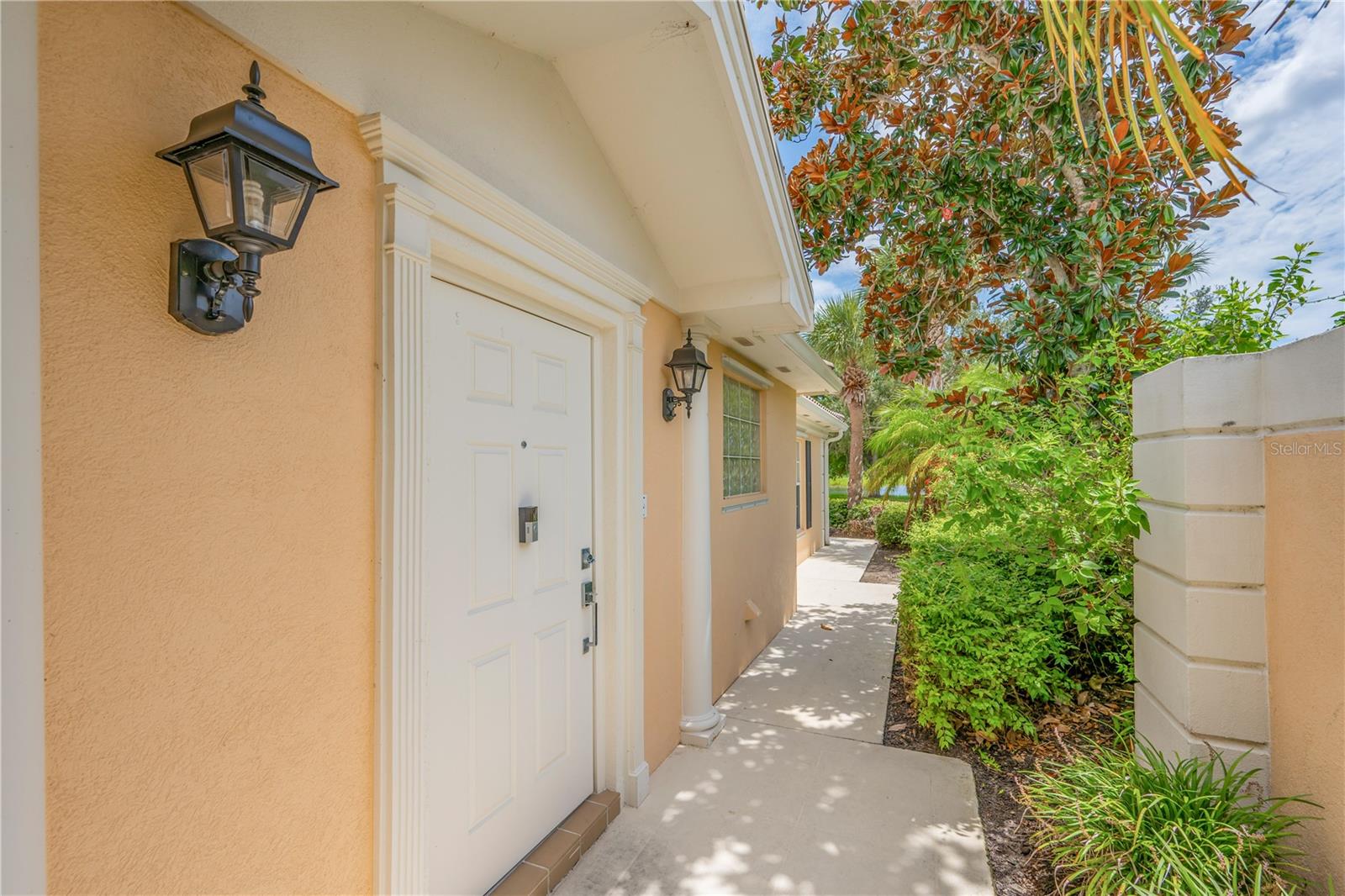 8012 CAMMINARE DR — photo 12