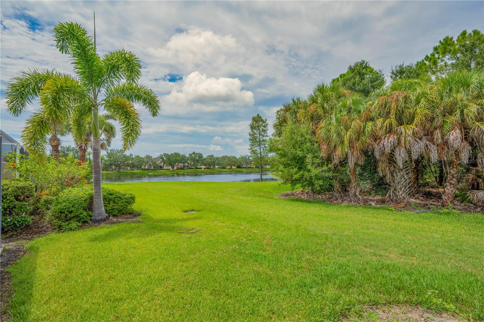 8012 CAMMINARE DR — photo 10