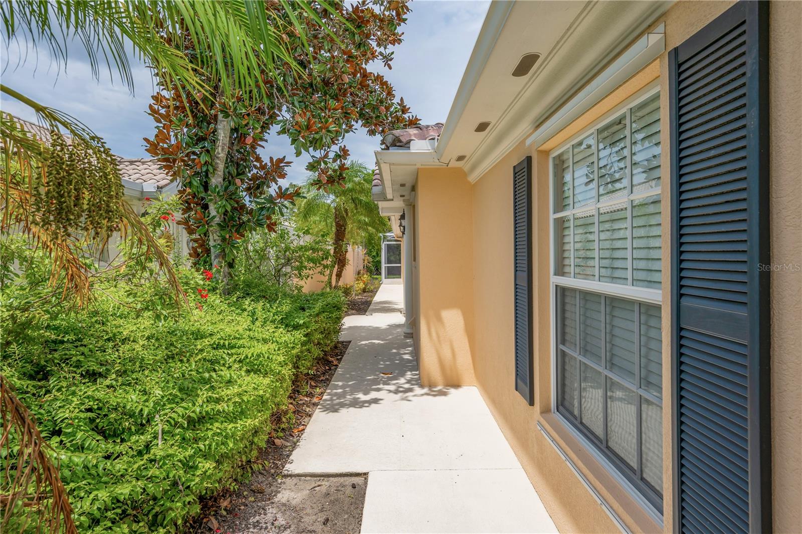 8012 CAMMINARE DR — photo 11