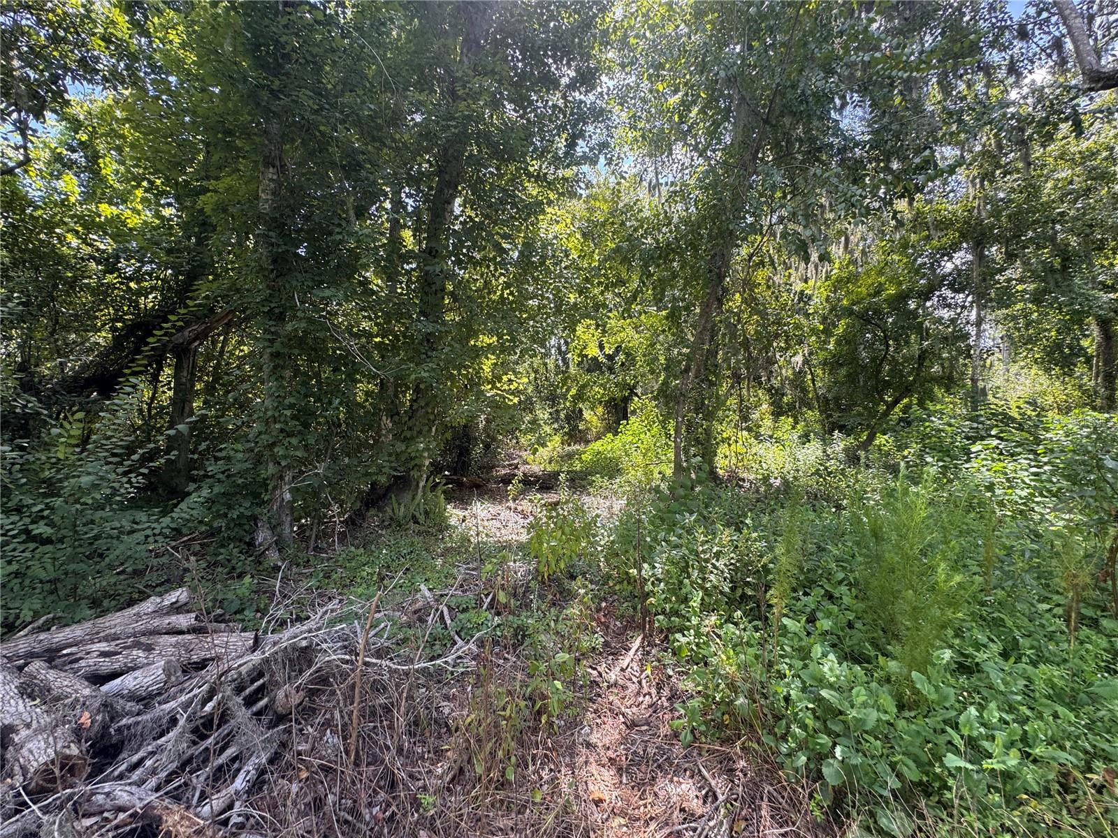 12275 COUNTY ROAD 675 — photo 15