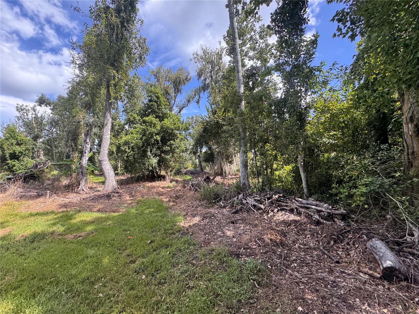 12275 COUNTY ROAD 675 — photo 17