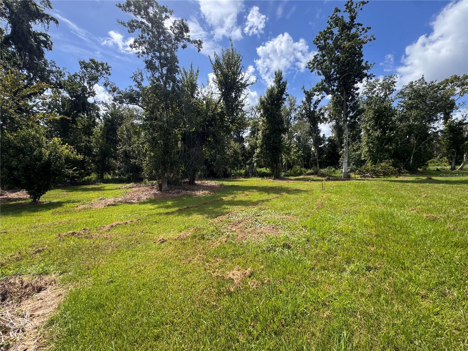 12275 COUNTY ROAD 675 — photo 24