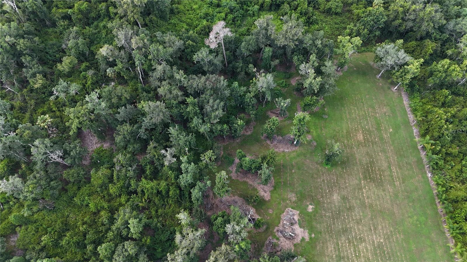 12275 COUNTY ROAD 675 — photo 33