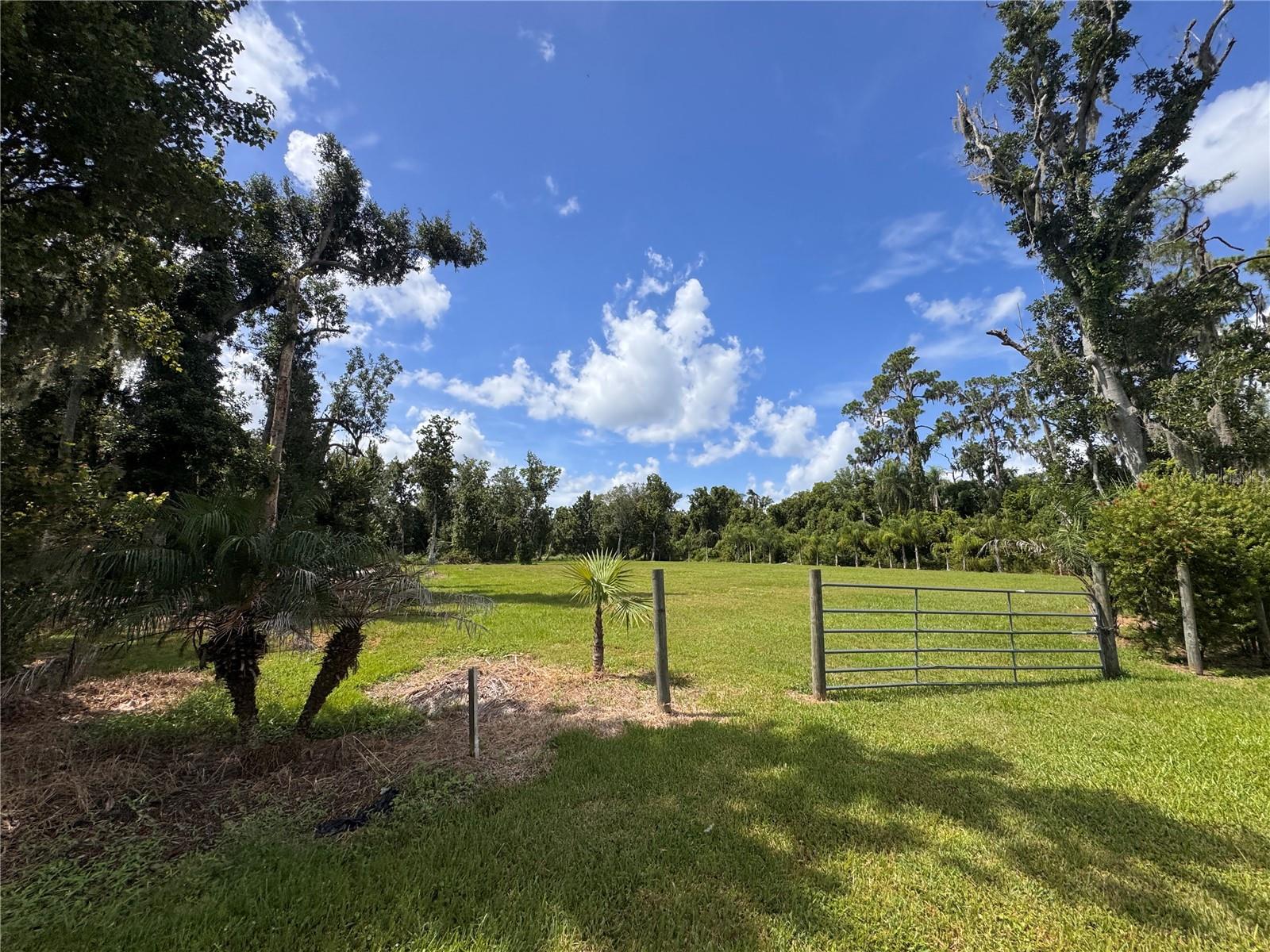 12275 COUNTY ROAD 675 — photo 31
