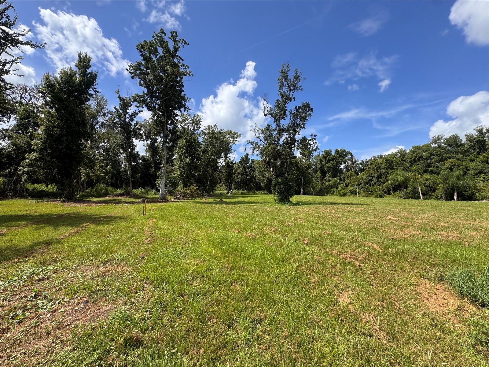 12275 COUNTY ROAD 675 — photo 23