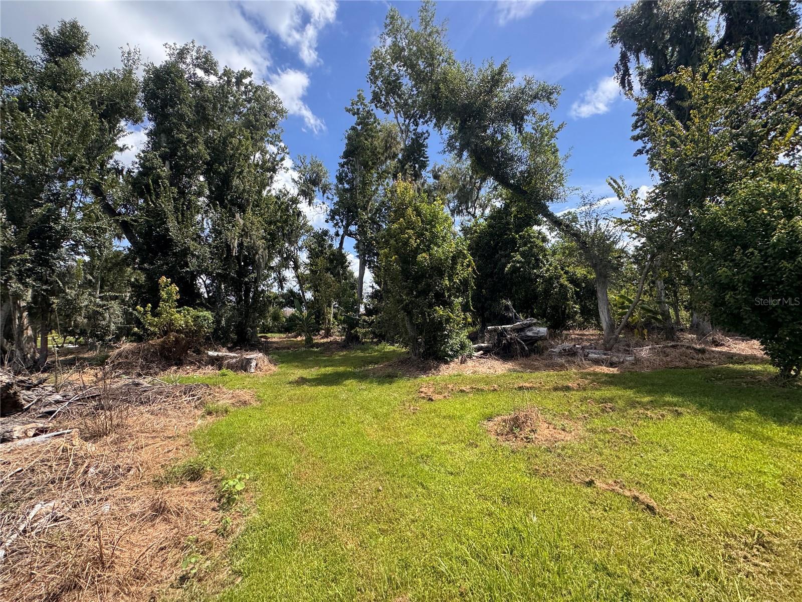 12275 COUNTY ROAD 675 — photo 21