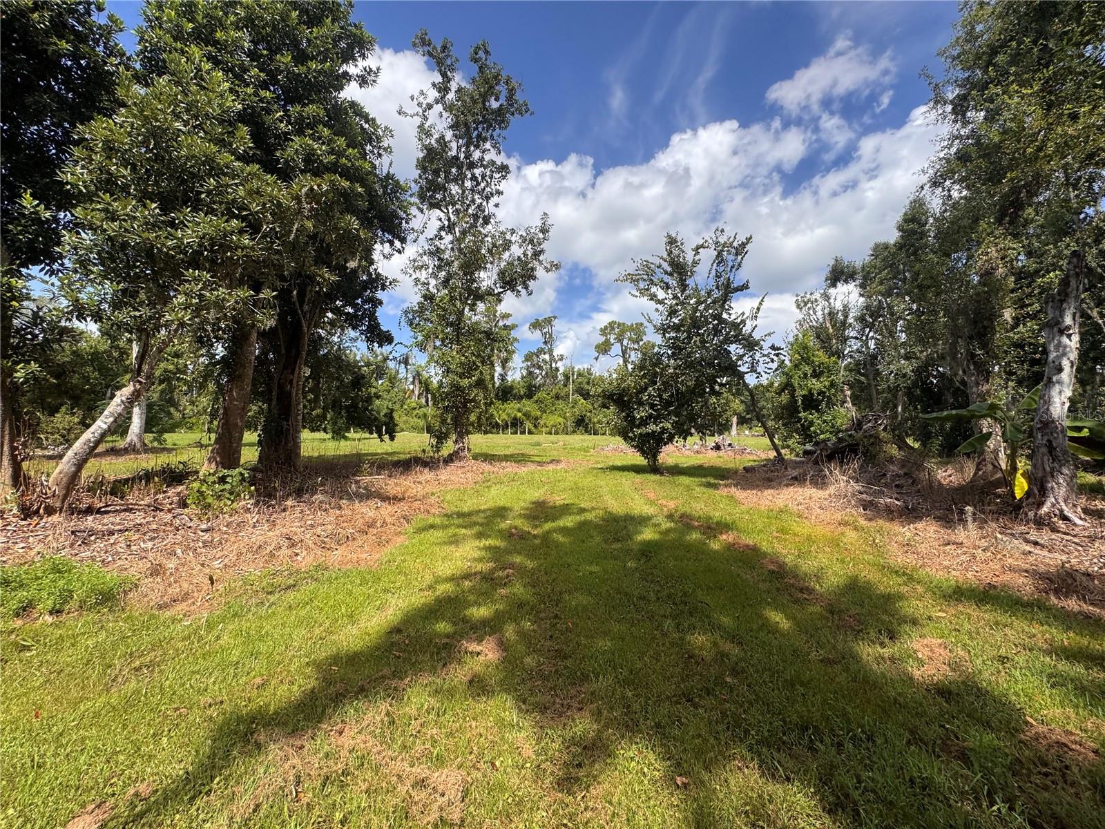 12275 COUNTY ROAD 675 — photo 14