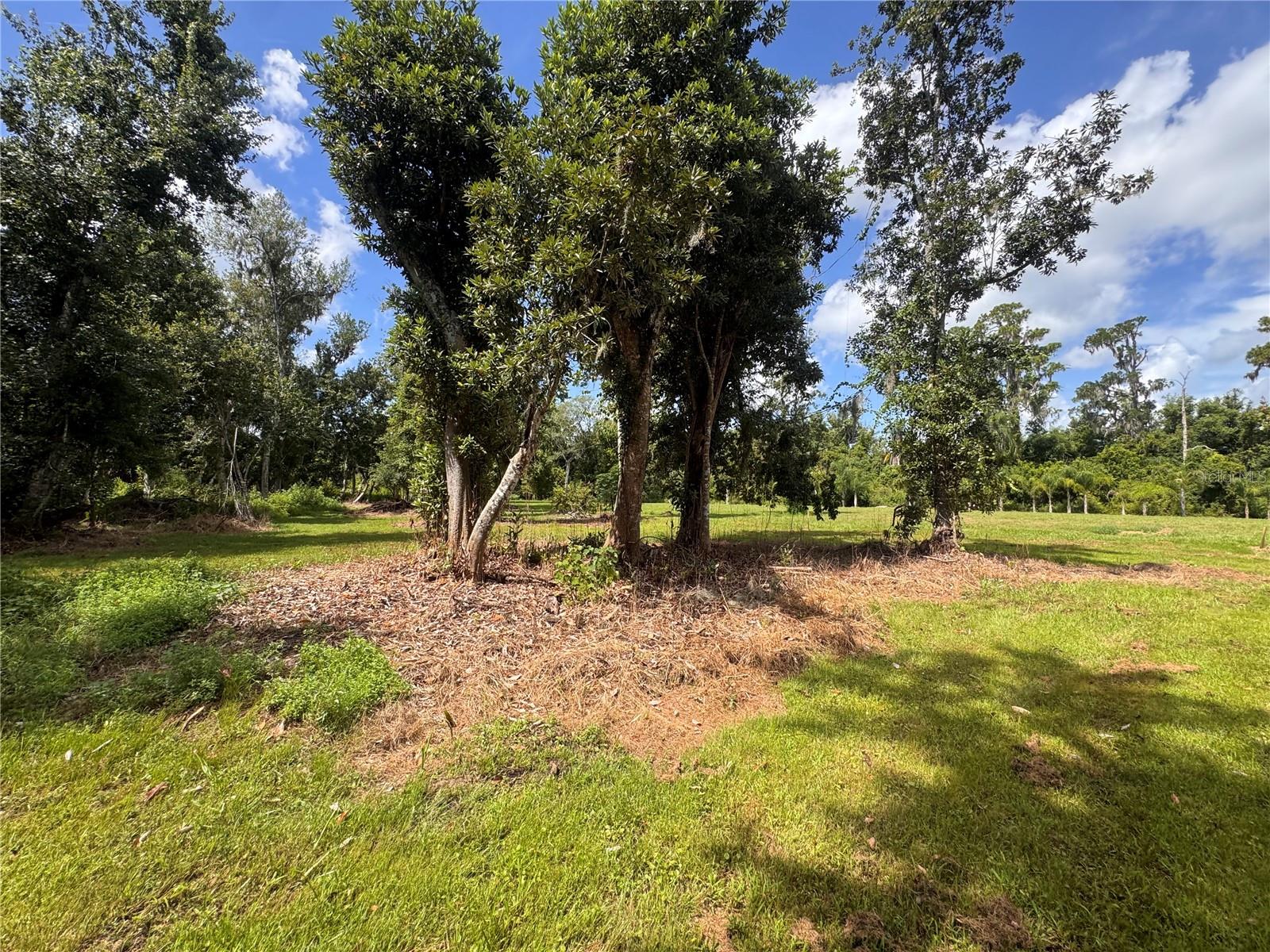 12275 COUNTY ROAD 675 — photo 16