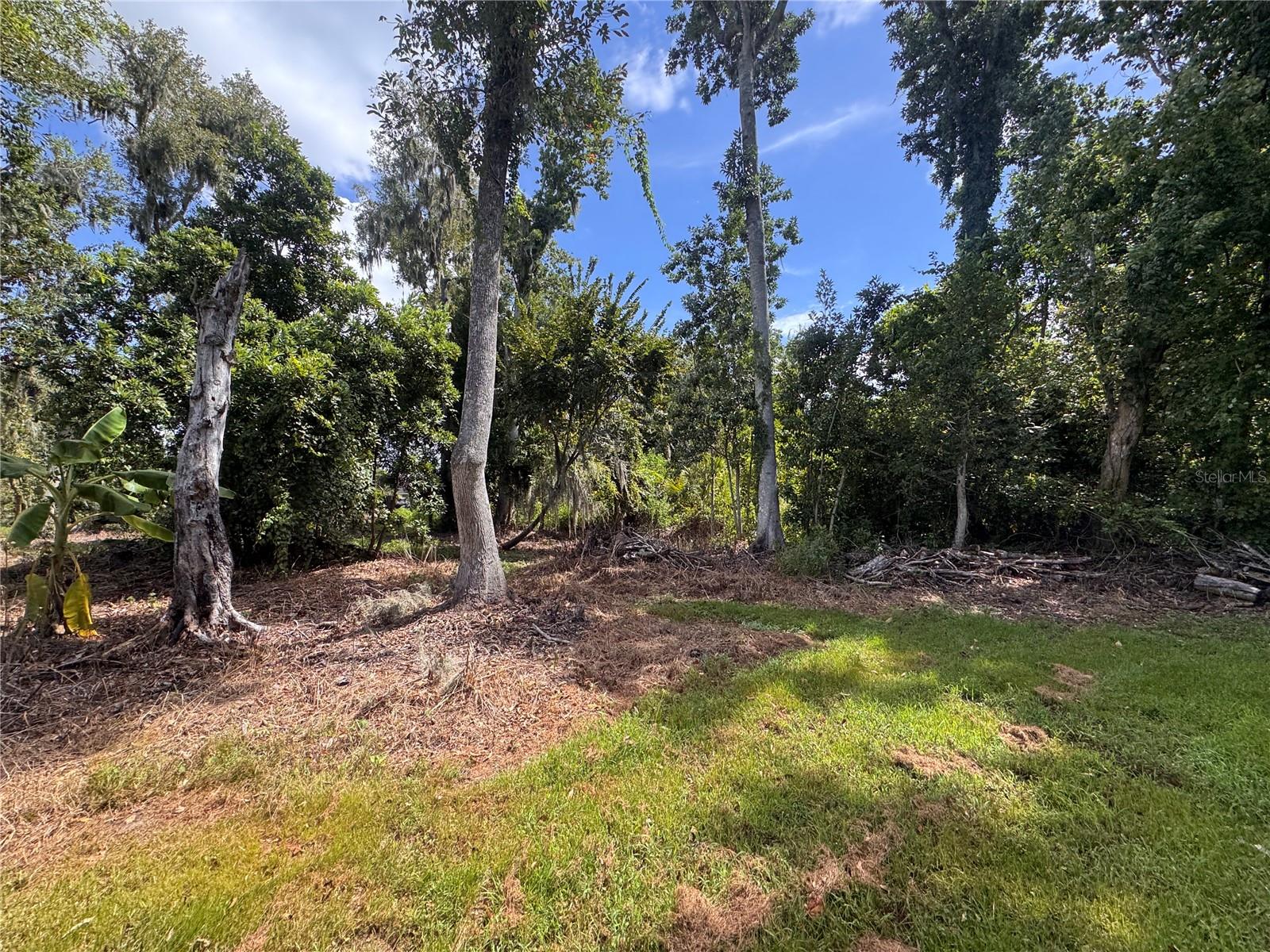 12275 COUNTY ROAD 675 — photo 19
