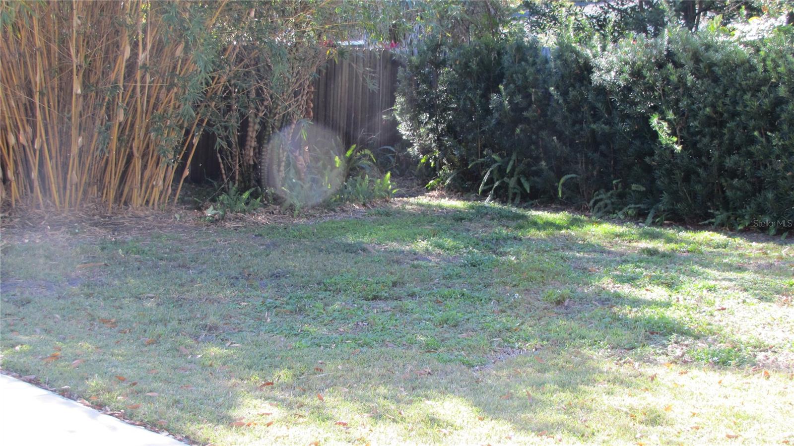 3326 SCHEFFLERA RD — photo 19