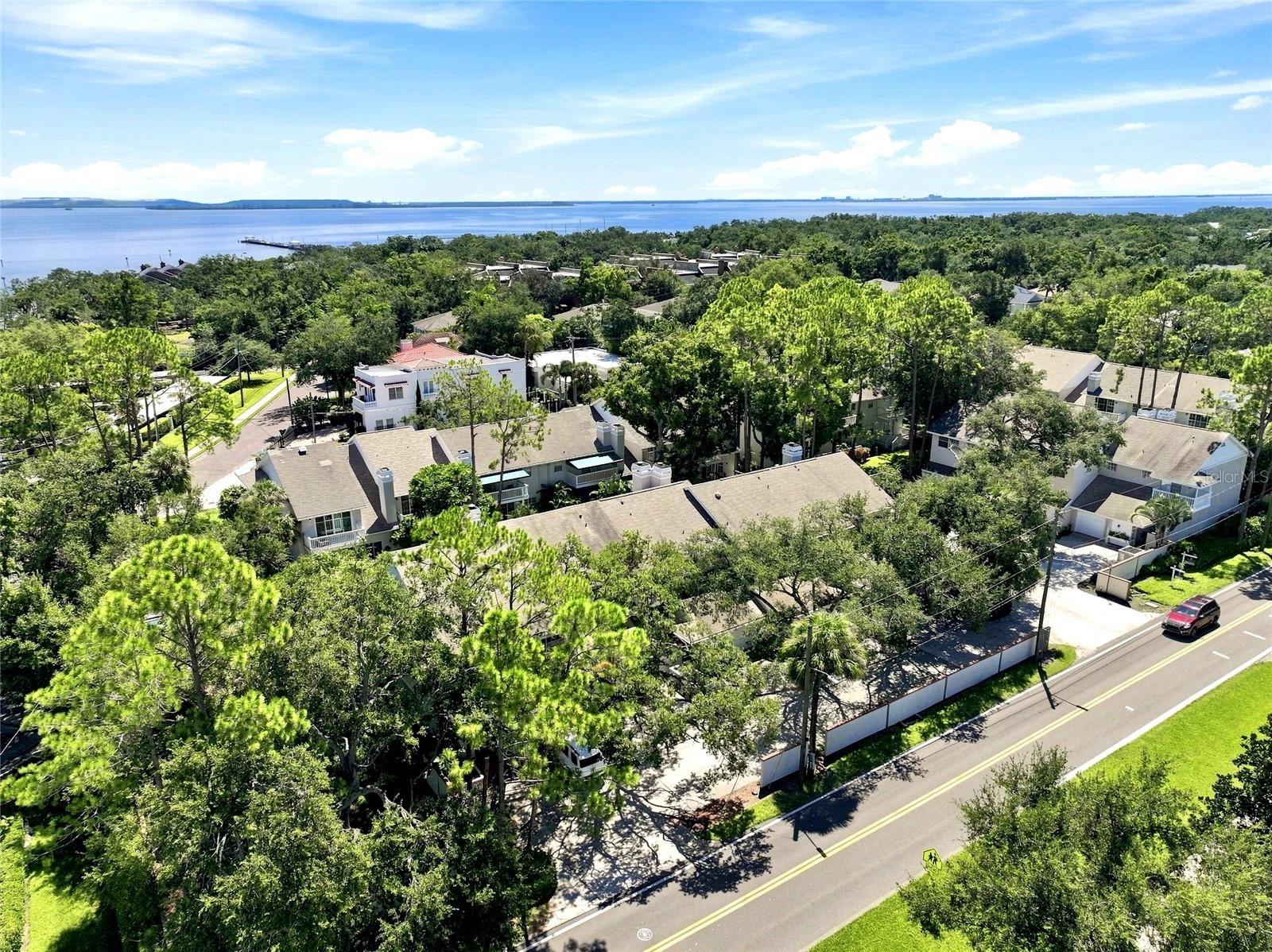 5104 BAYSHORE BLVD — photo 39