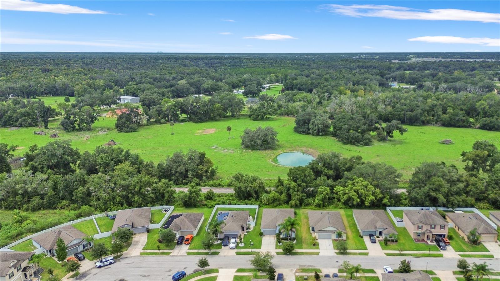 2979 MOULDEN HOLLOW DR — photo 45