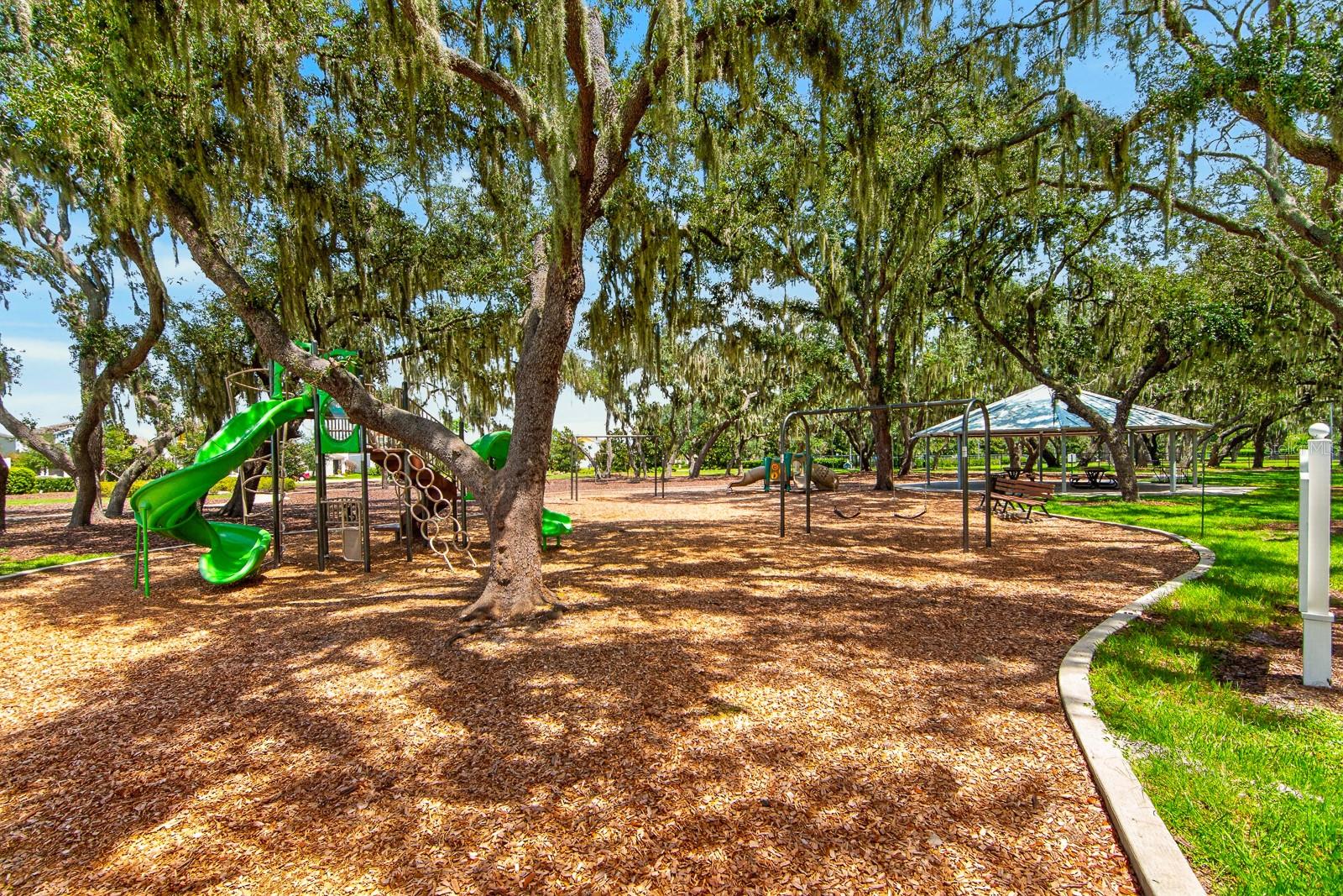 12826 WILDFLOWER MEADOW DR — photo 56