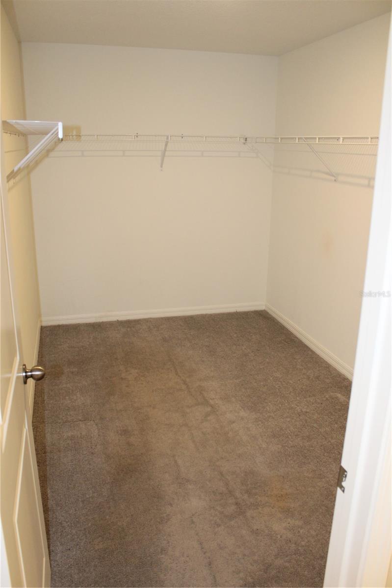 12916 WILDFLOWER MEADOW DR — photo 9
