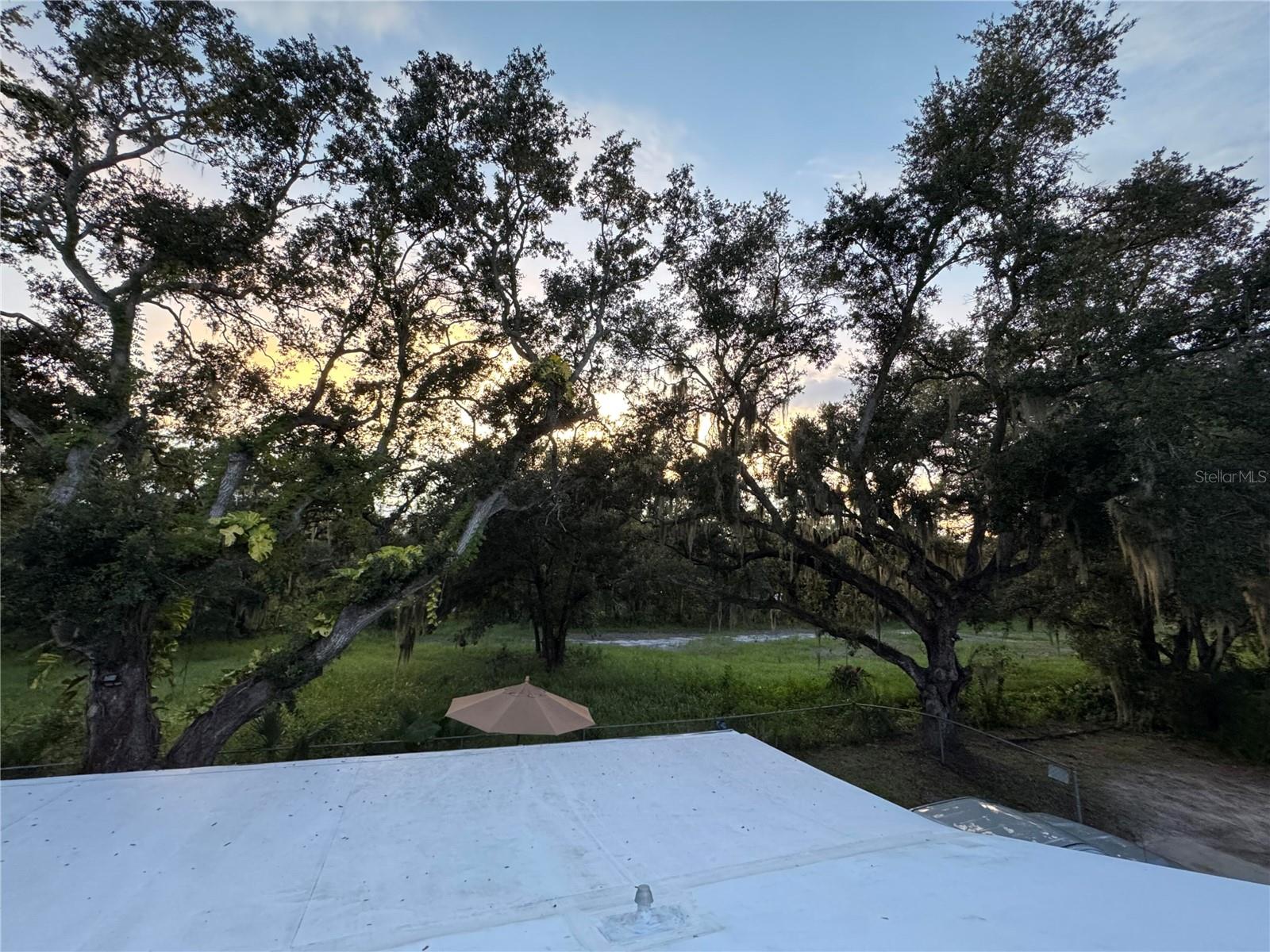 8801 MARC DAVID — photo 24
