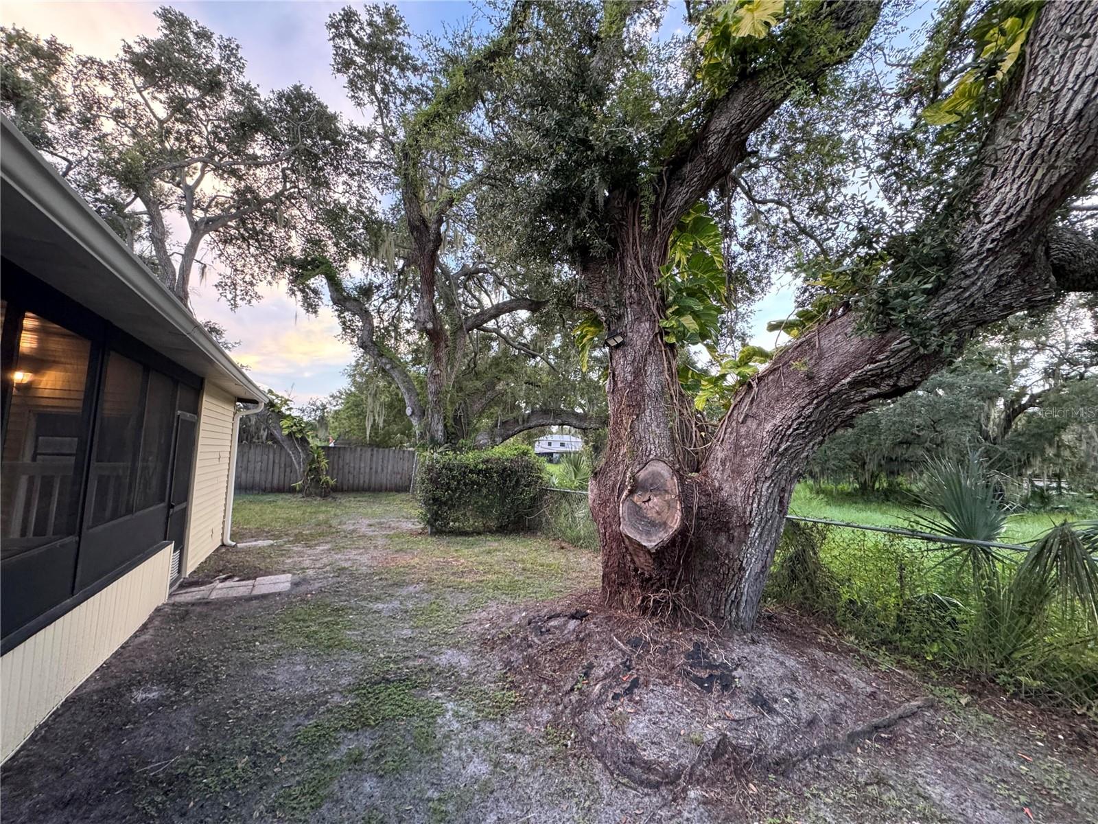 8801 MARC DAVID — photo 16
