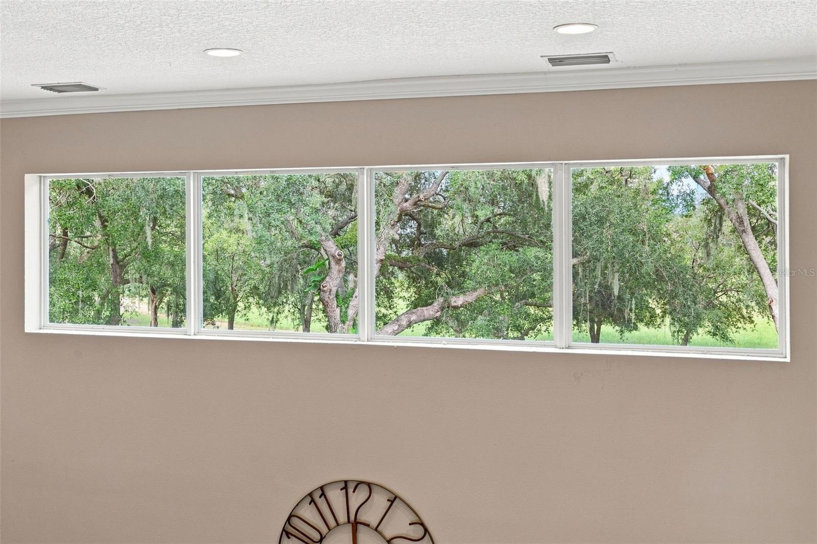 12754 SERONERA VALLEY CT — photo 41
