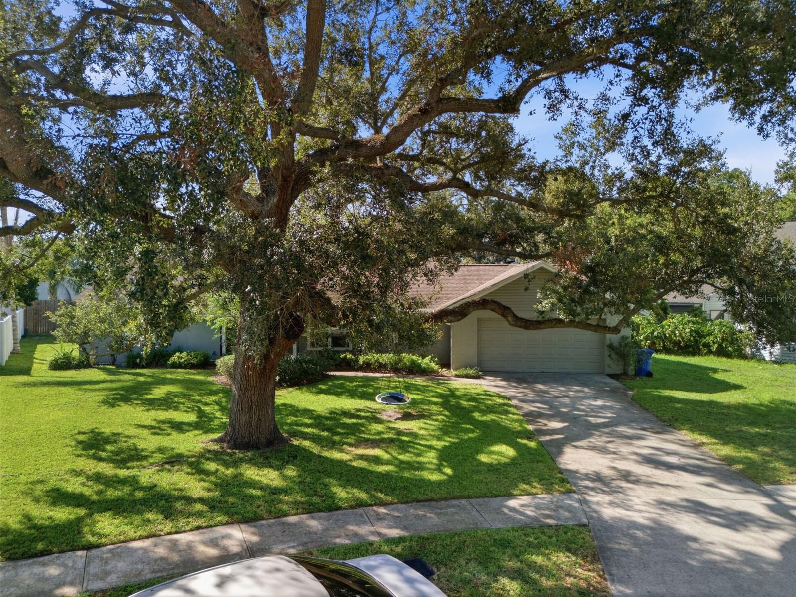 13536 LAKE MAGDALENE DR — photo 5