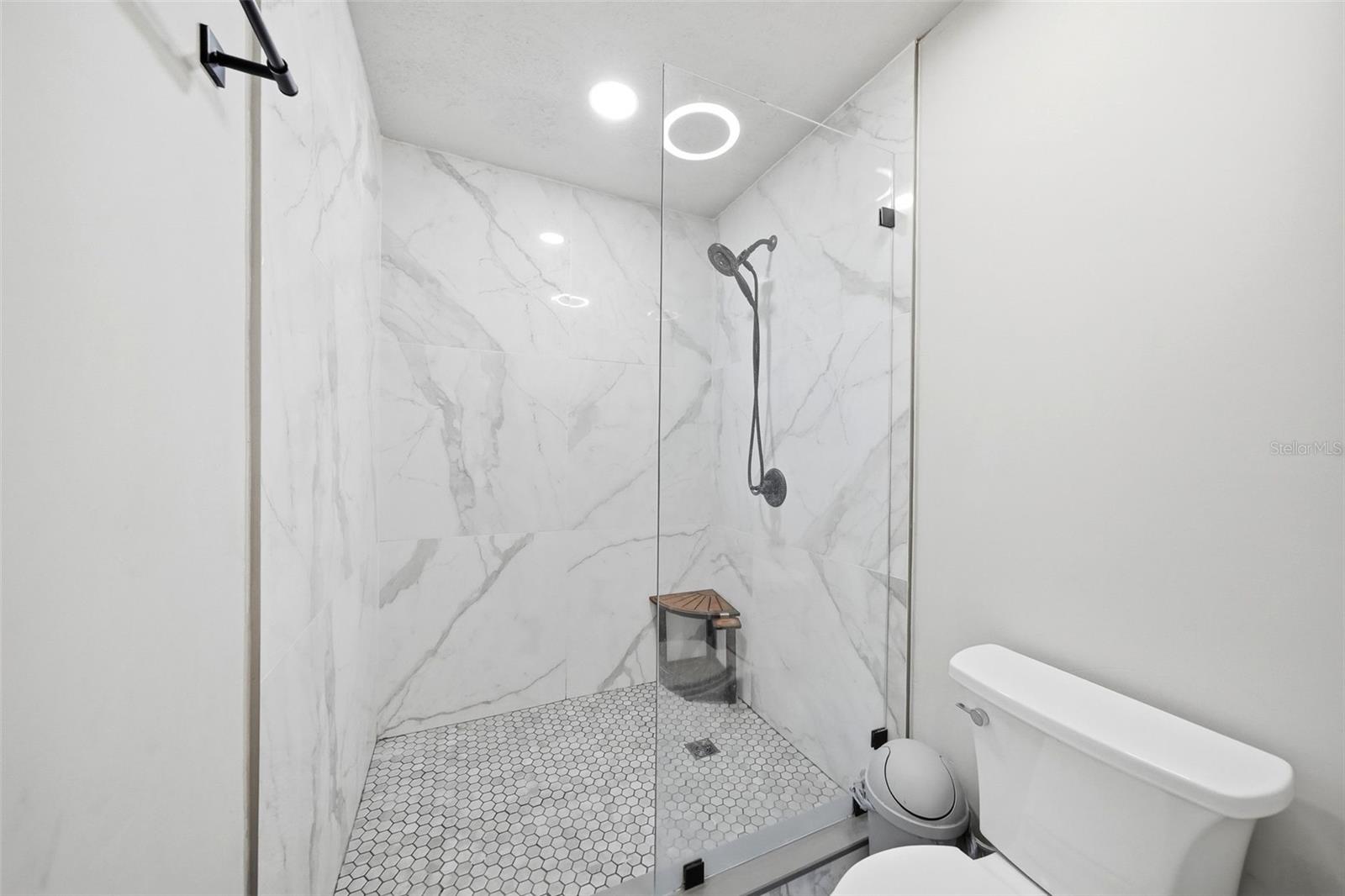 13536 LAKE MAGDALENE DR — photo 39