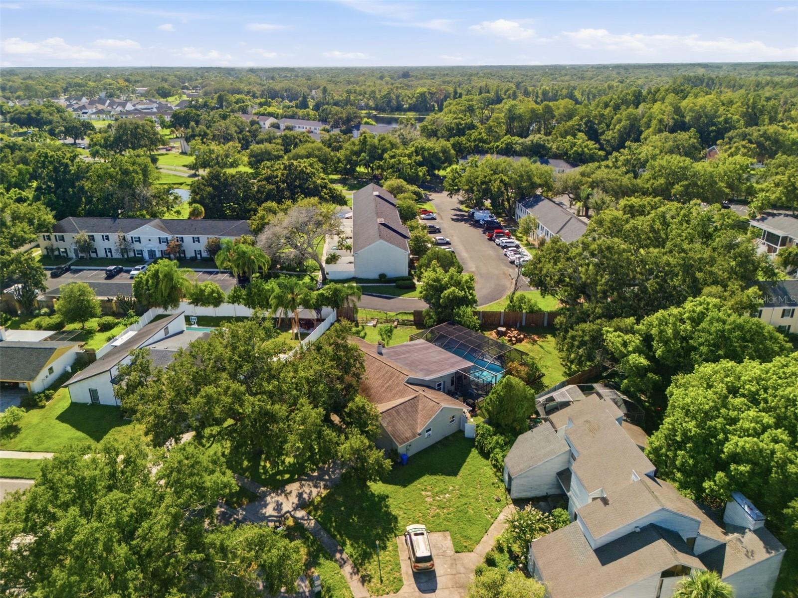 13536 LAKE MAGDALENE DR — photo 55