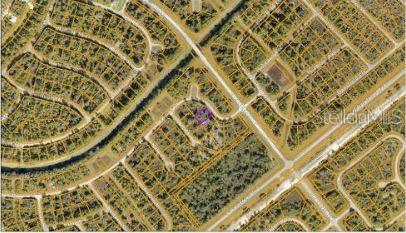NEWMAN DR — photo 5