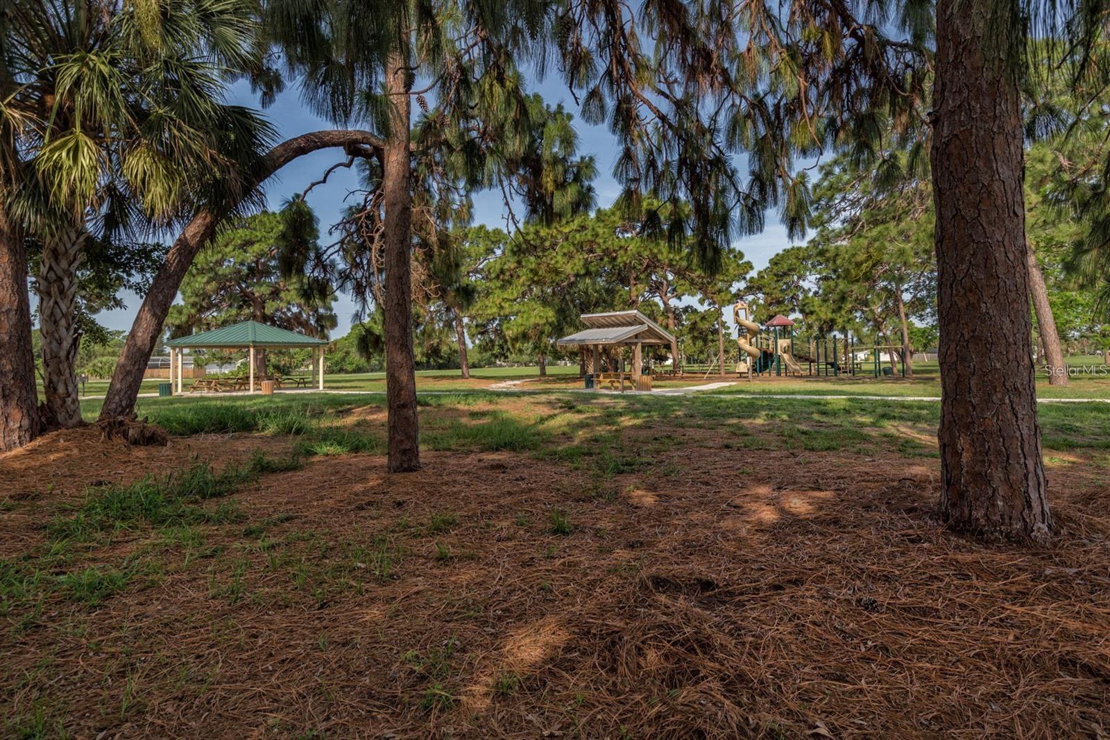317 HILLVIEW RD — photo 37