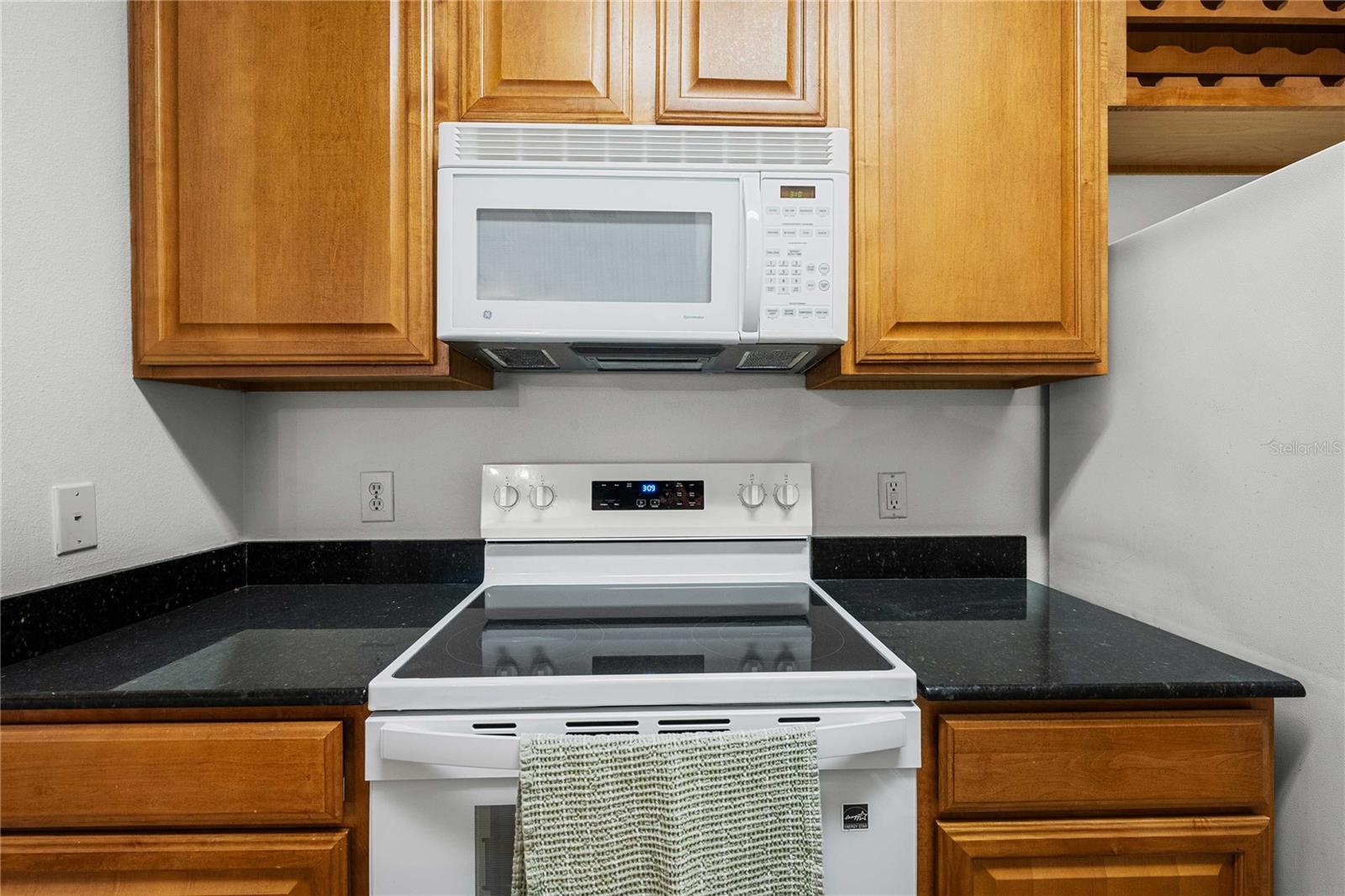 18525 BRIDLE CLUB DR #18525 — photo 14