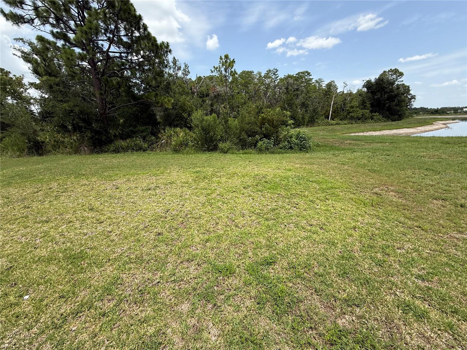 15516 MILLER CREEK DR — photo 19