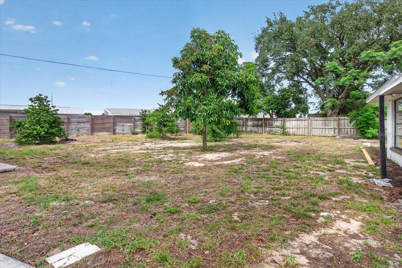 7731 BRACKEN DR — photo 55