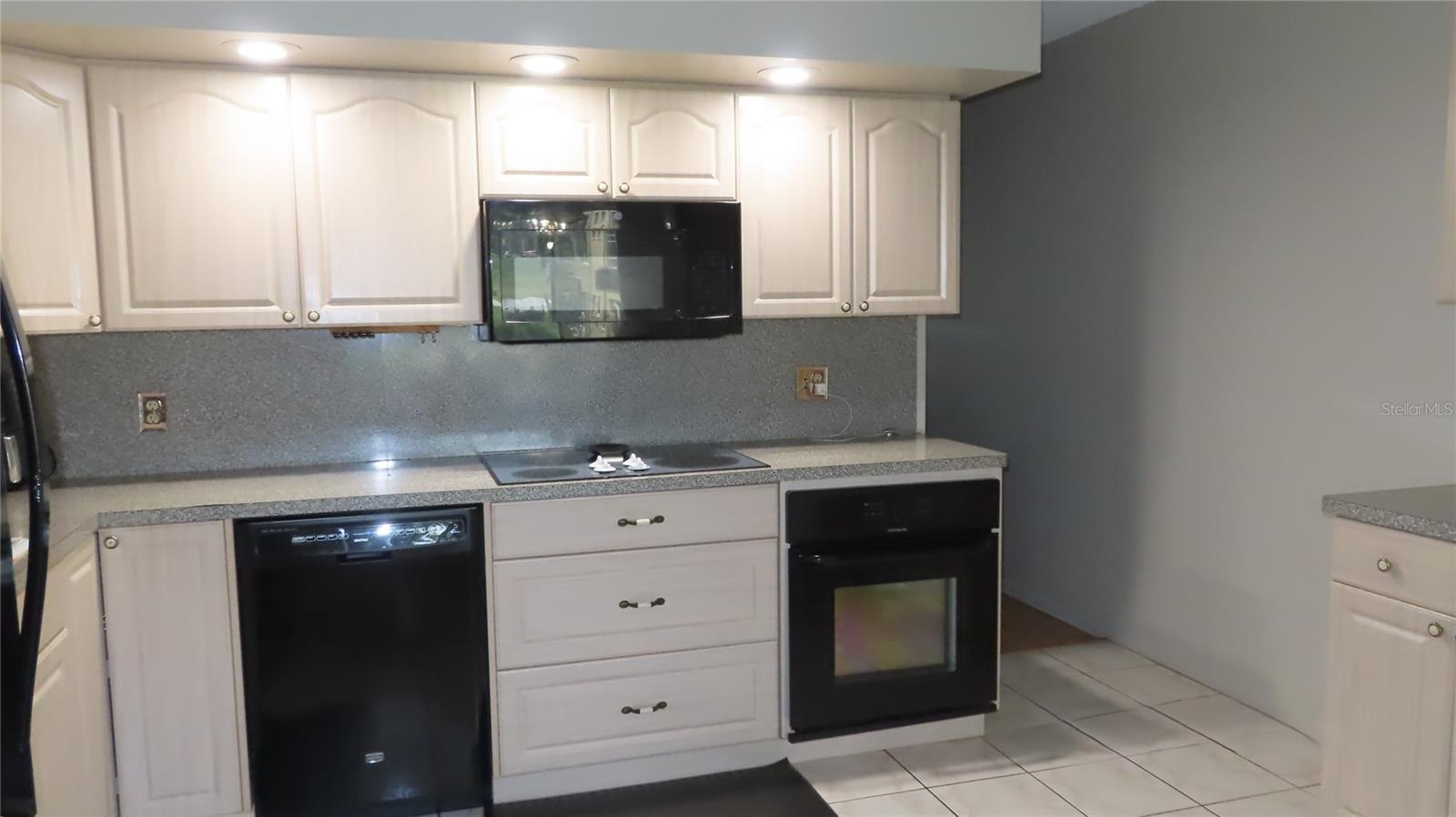 2402 ECUADORIAN WAY #34 — photo 9