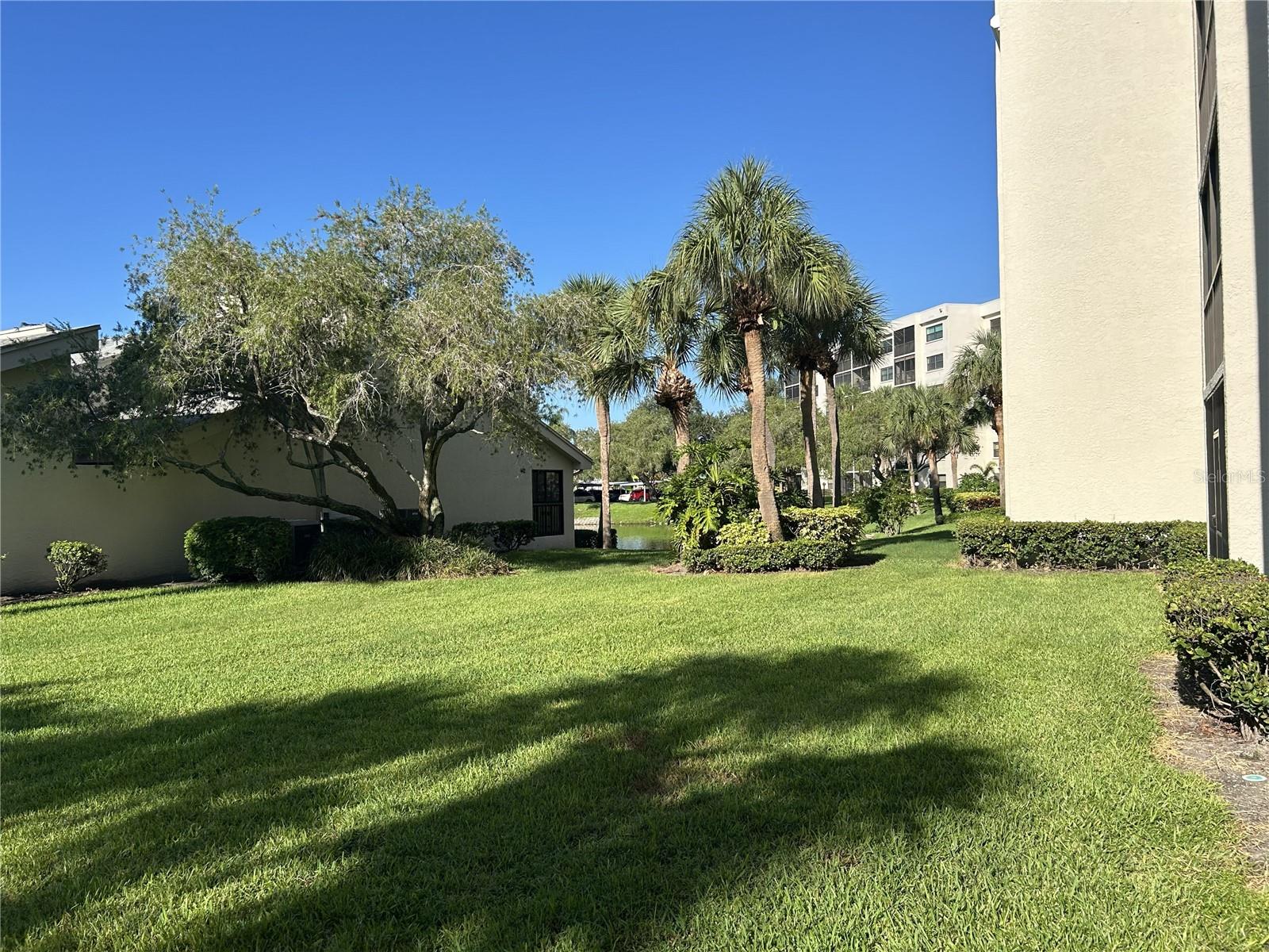 1316 PASADENA AVE S #102 — photo 33