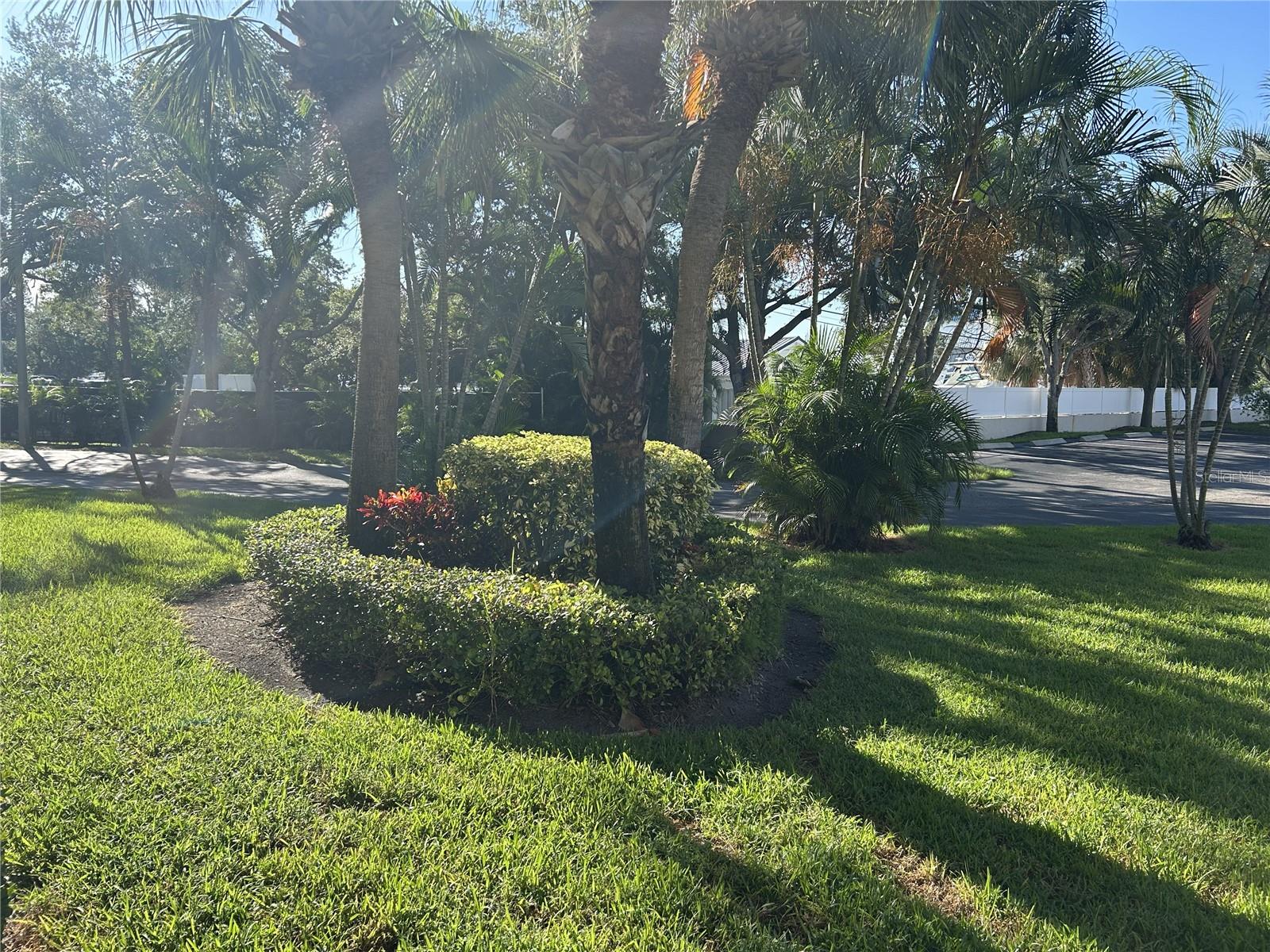 1316 PASADENA AVE S #102 — photo 37