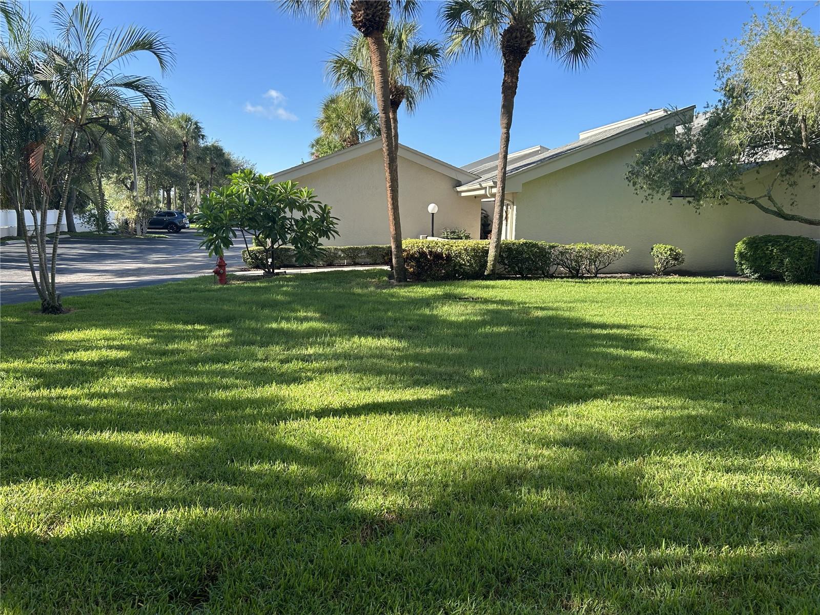 1316 PASADENA AVE S #102 — photo 34