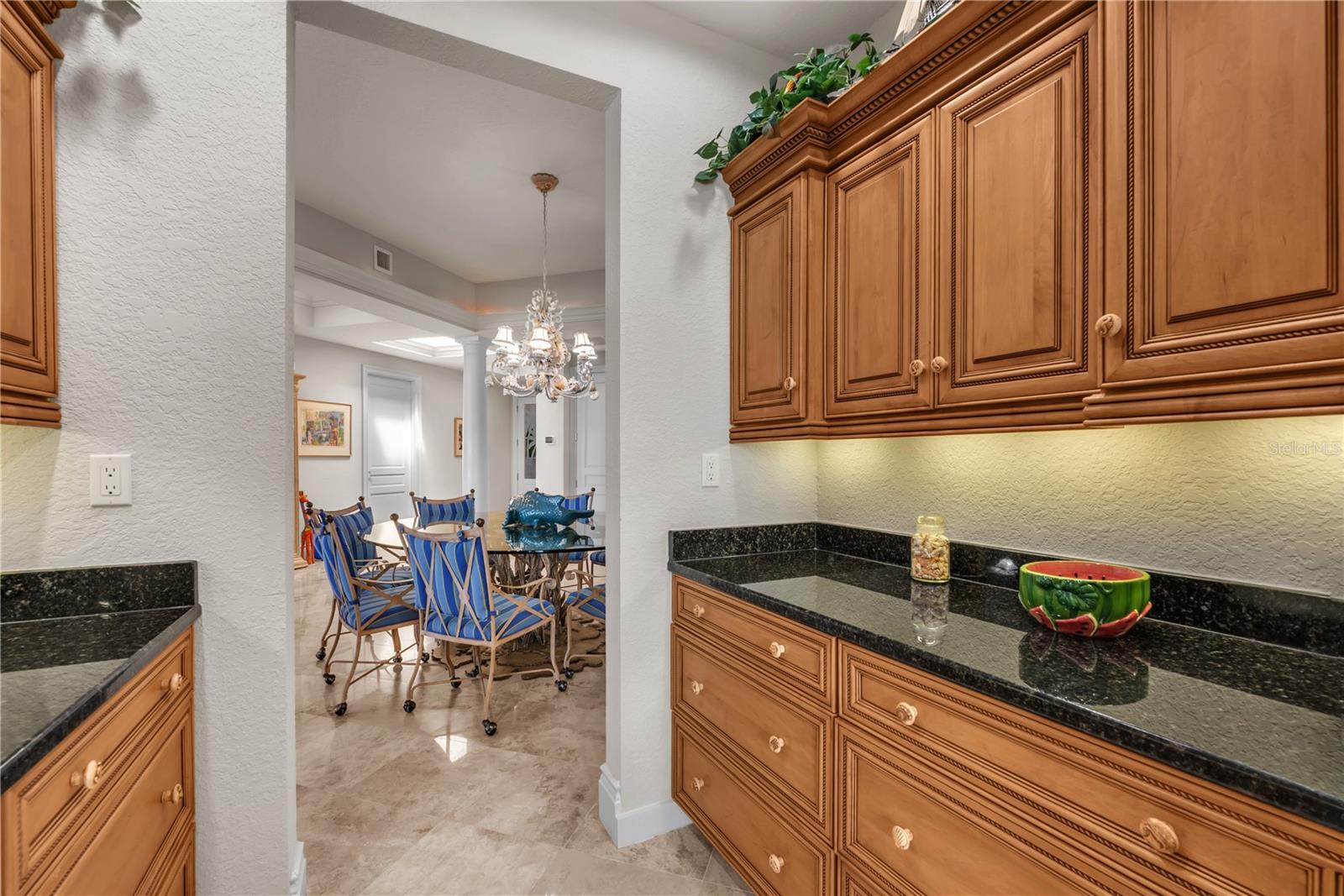 16300 GULF BLVD #500A — photo 15