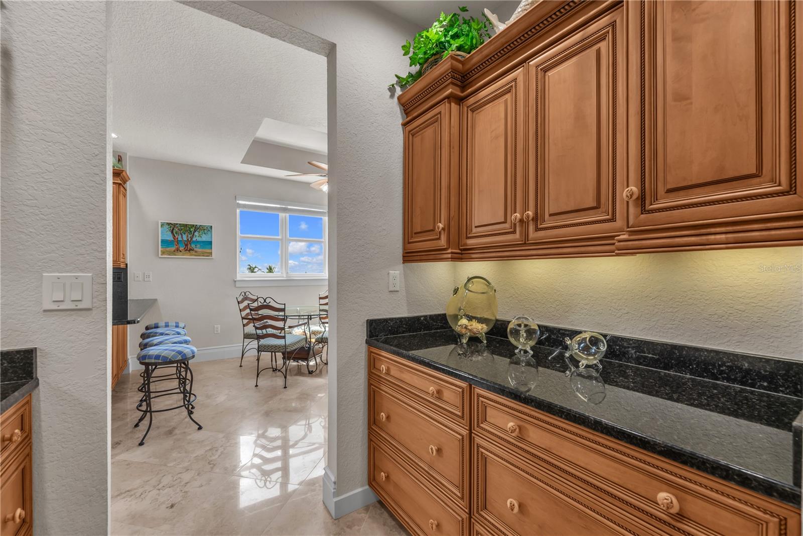 16300 GULF BLVD #500A — photo 13