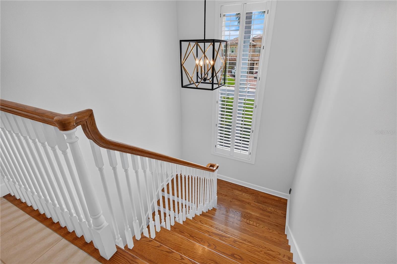 204 POINCIANA LN — photo 53