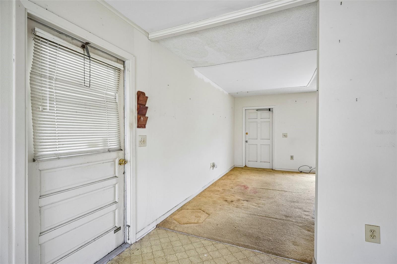 704 RADFORD PL — photo 6