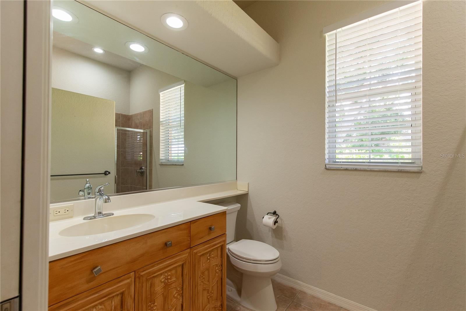 8437 EAGLE PRESERVE WAY — photo 44