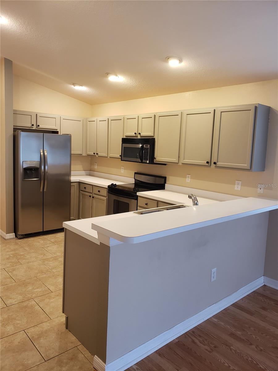 31316 TRIBOROUGH DR — photo 3