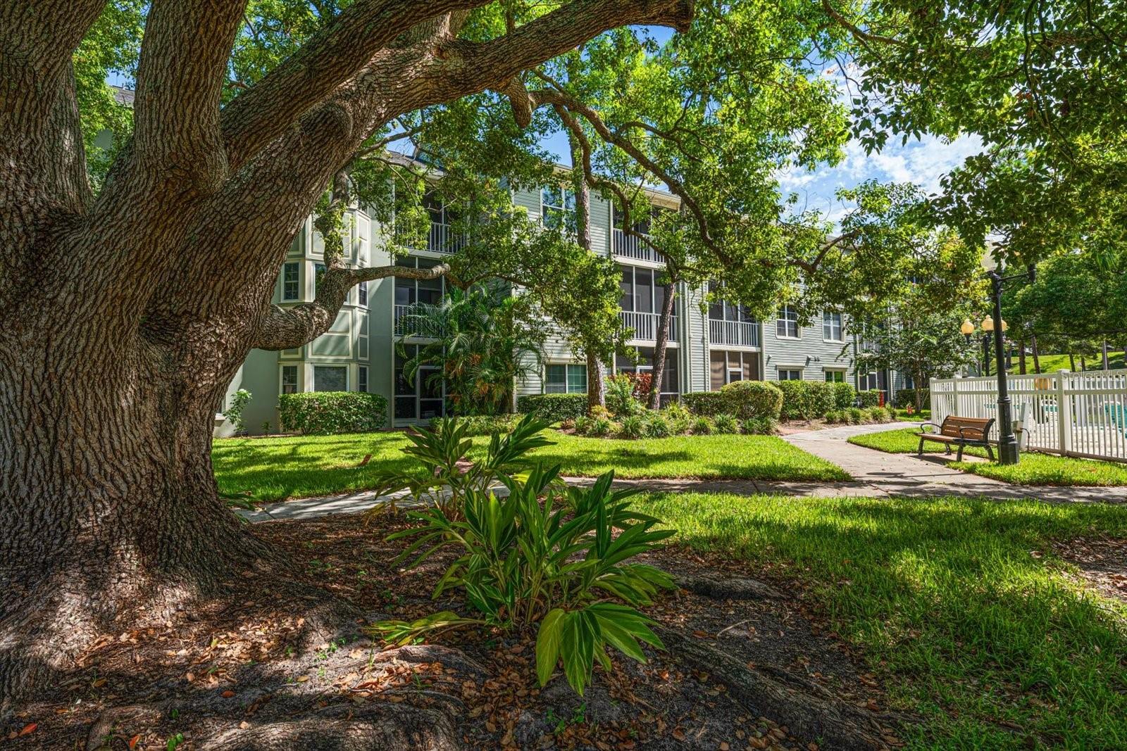 330 PROMENADE DR #206 — photo 18