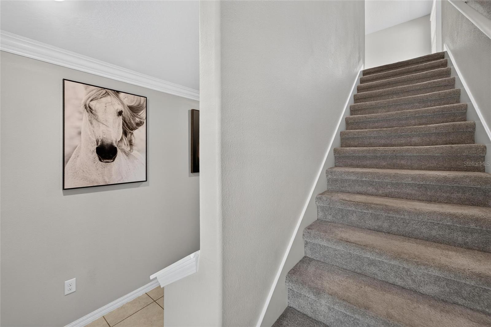 5035 SABLE CHIME DR — photo 22