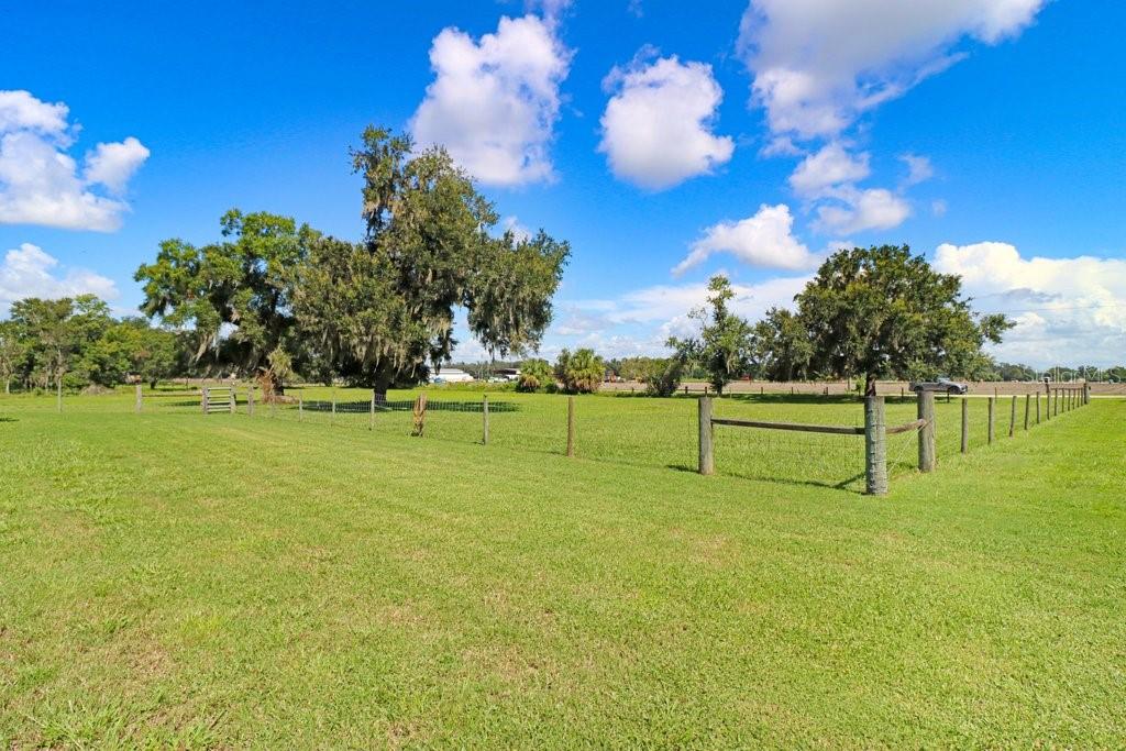 13221 TOM GALLAGHER RD — photo 73