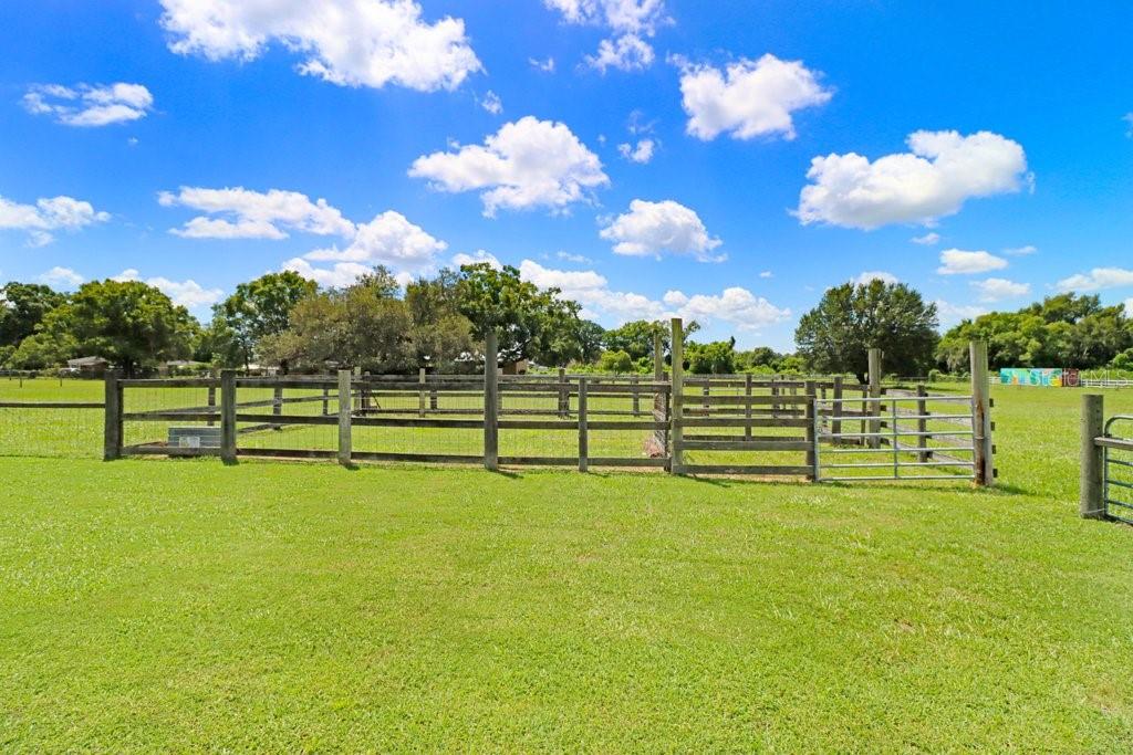 13221 TOM GALLAGHER RD — photo 76